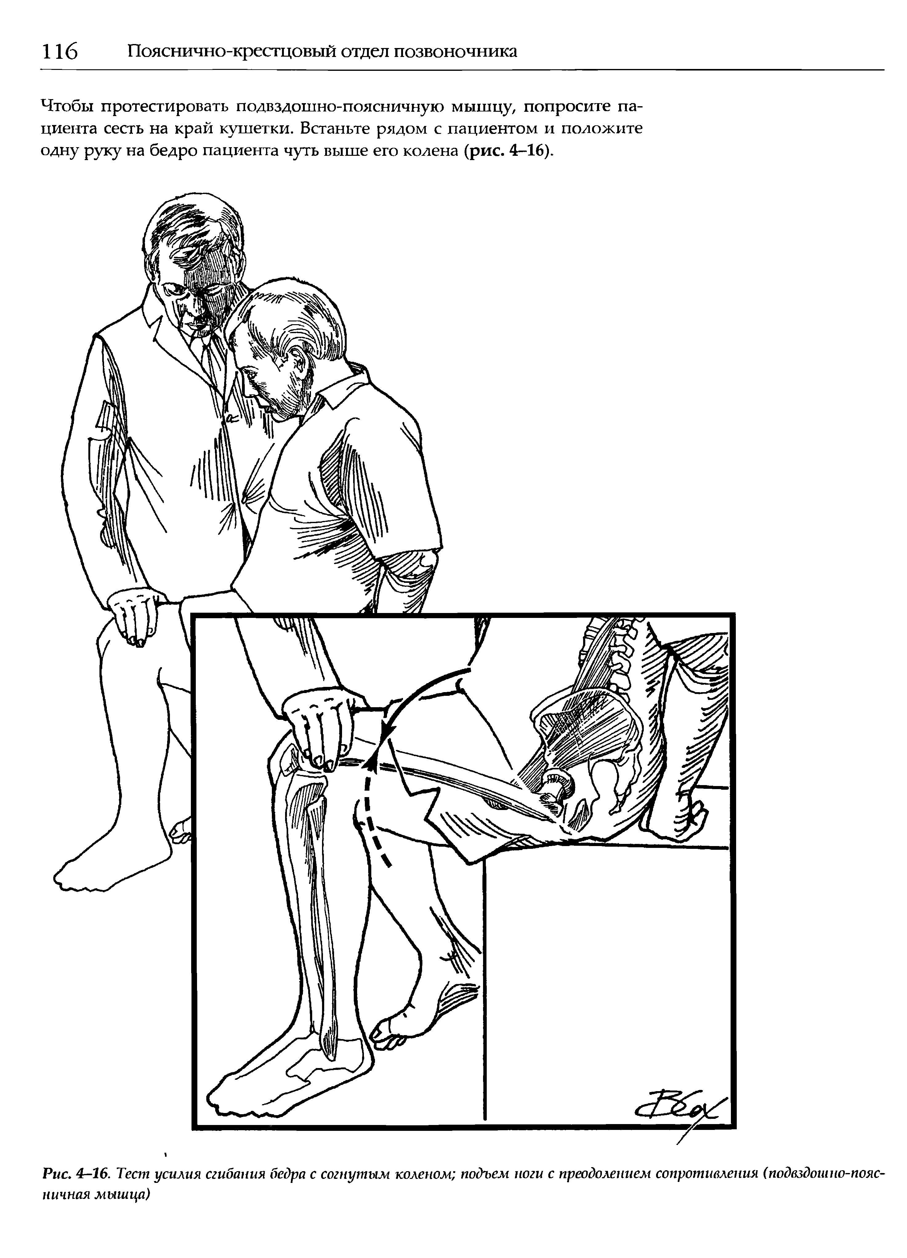 Рис. 4—16. Тест усилия сгибания бедра с согнутым коленом подъем ноги с преодолением сопротивления (подвздошно-поясничная мышца)...