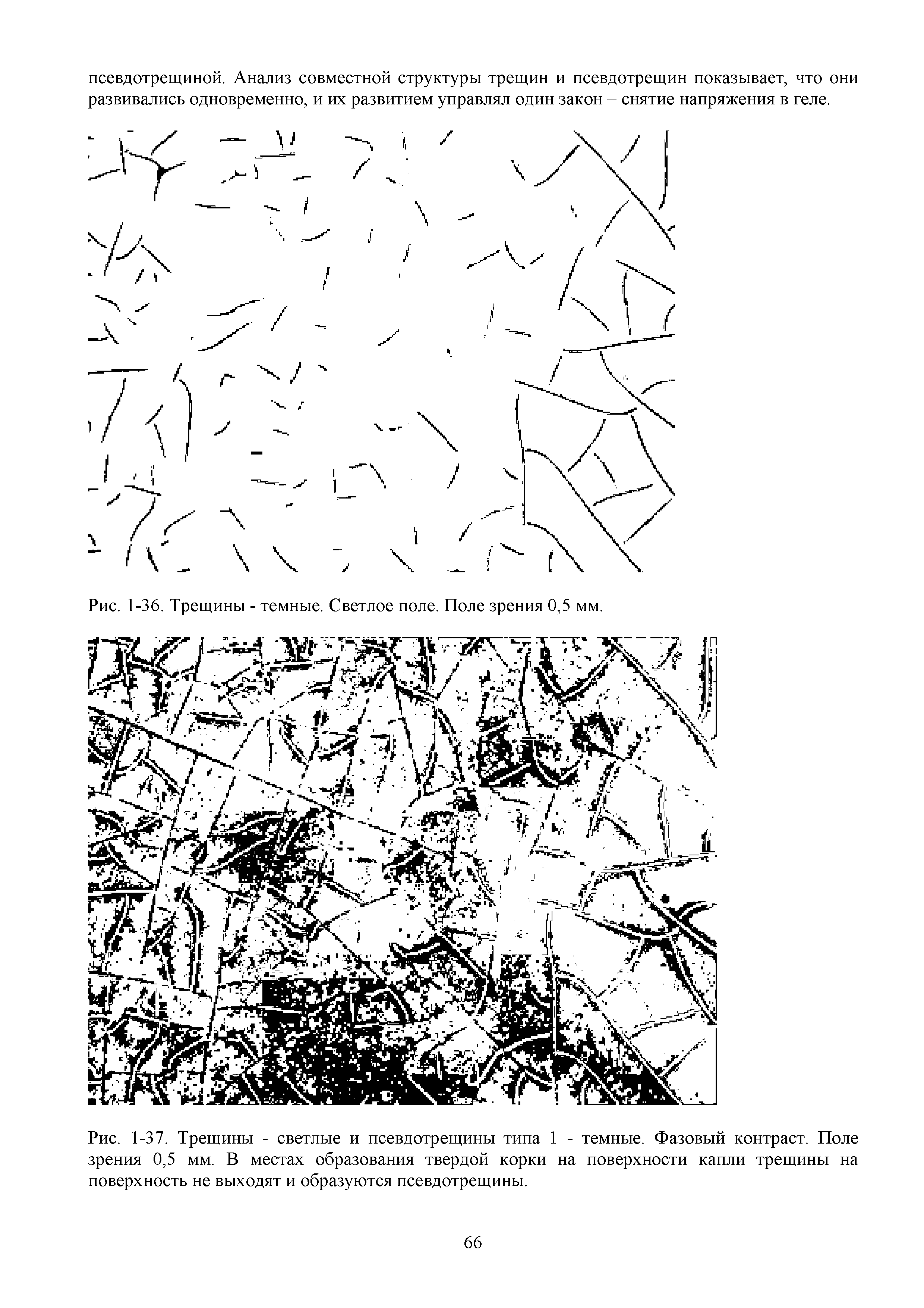 Рис. 1-37. Трещины - светлые и псевдотрещины типа 1 - темные. Фазовый контраст. Поле зрения 0,5 мм. В местах образования твердой корки на поверхности капли трещины на поверхность не выходят и образуются псевдотрещины.