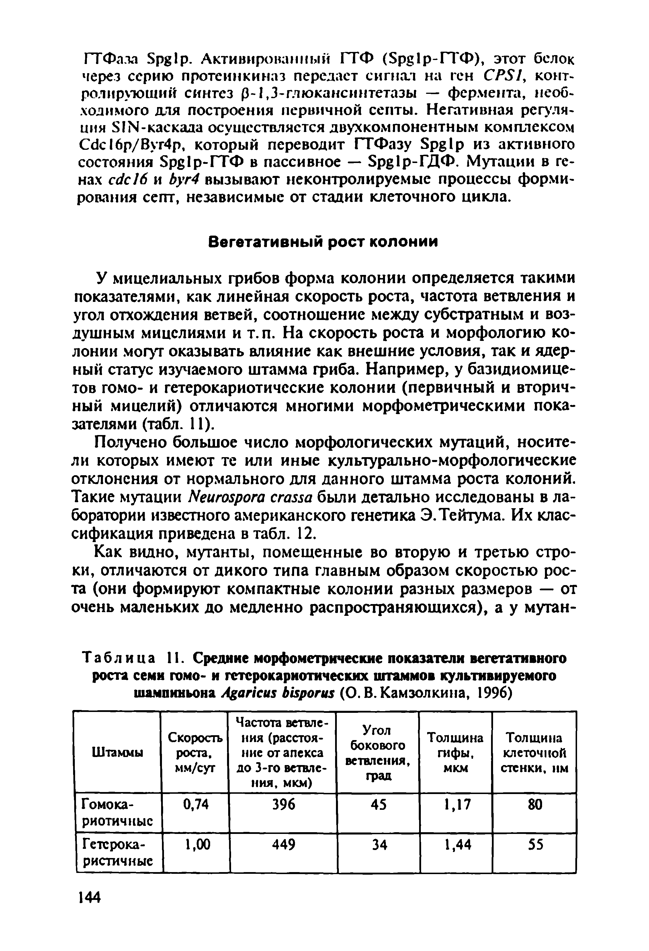 Таблица II. Средние морфометрические показатели вегетативного роста семи гомо- и гетерокариотических штаммов культивируемого шампиньона А апси Ькрогиз (О. В. Камзолкина, 1996)...