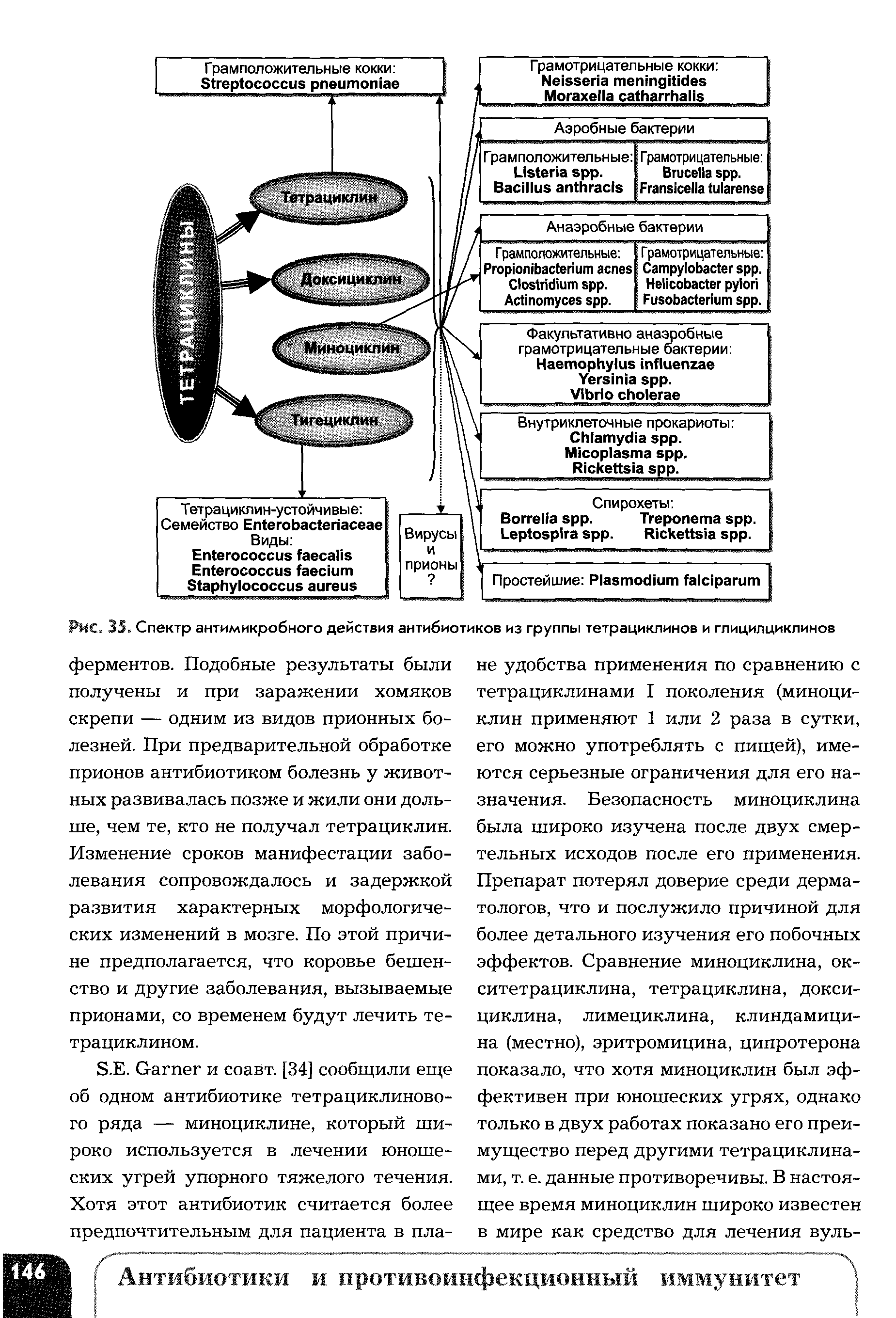 Рис. 35. Спектр антимикробного действия антибиотиков из группы тетрациклинов и глицилциклинов...