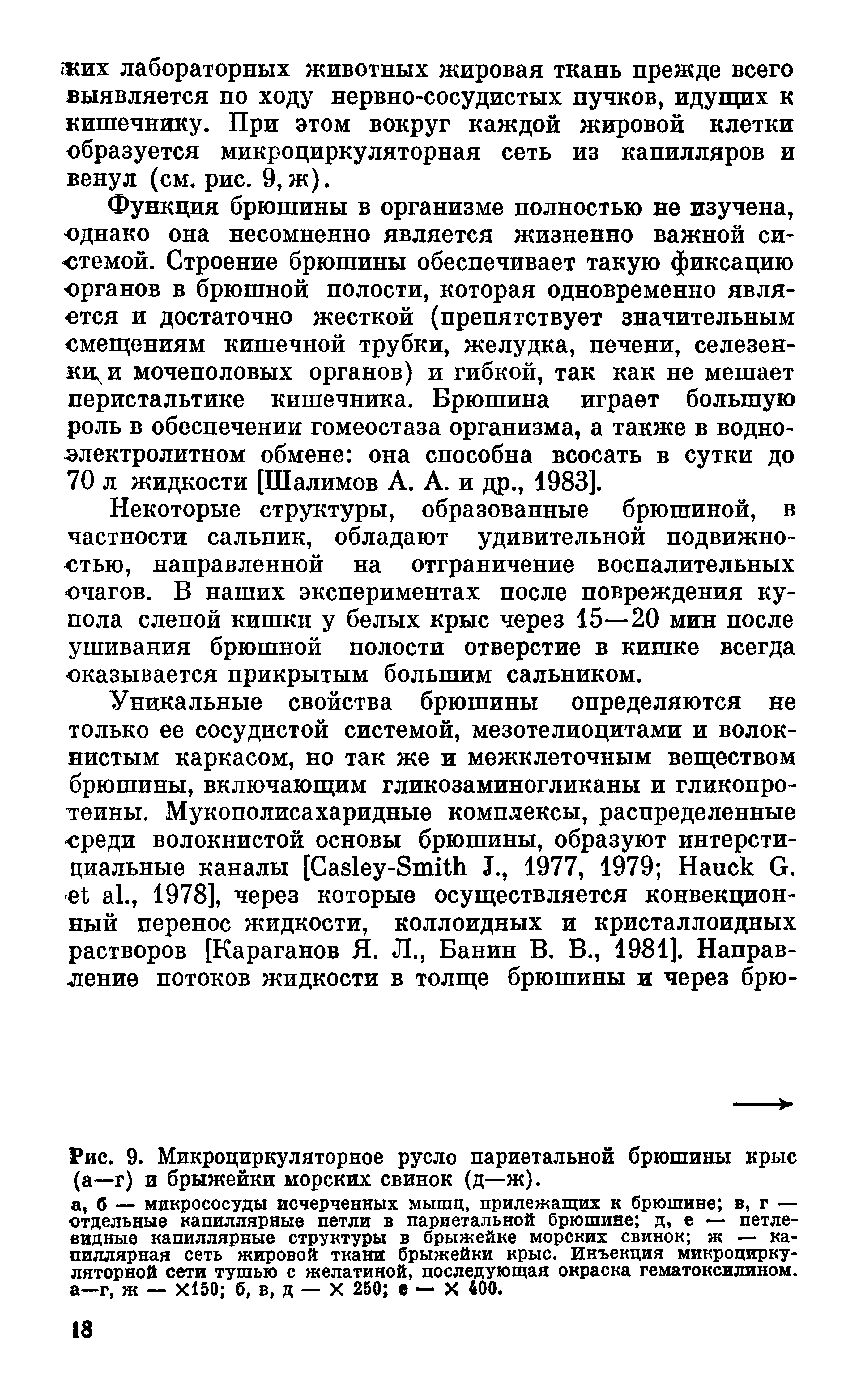 Рис. 9. Микроциркуляторное русло париетальной брюшины крыс (а—г) и брыжейки морских свинок (д—ж).