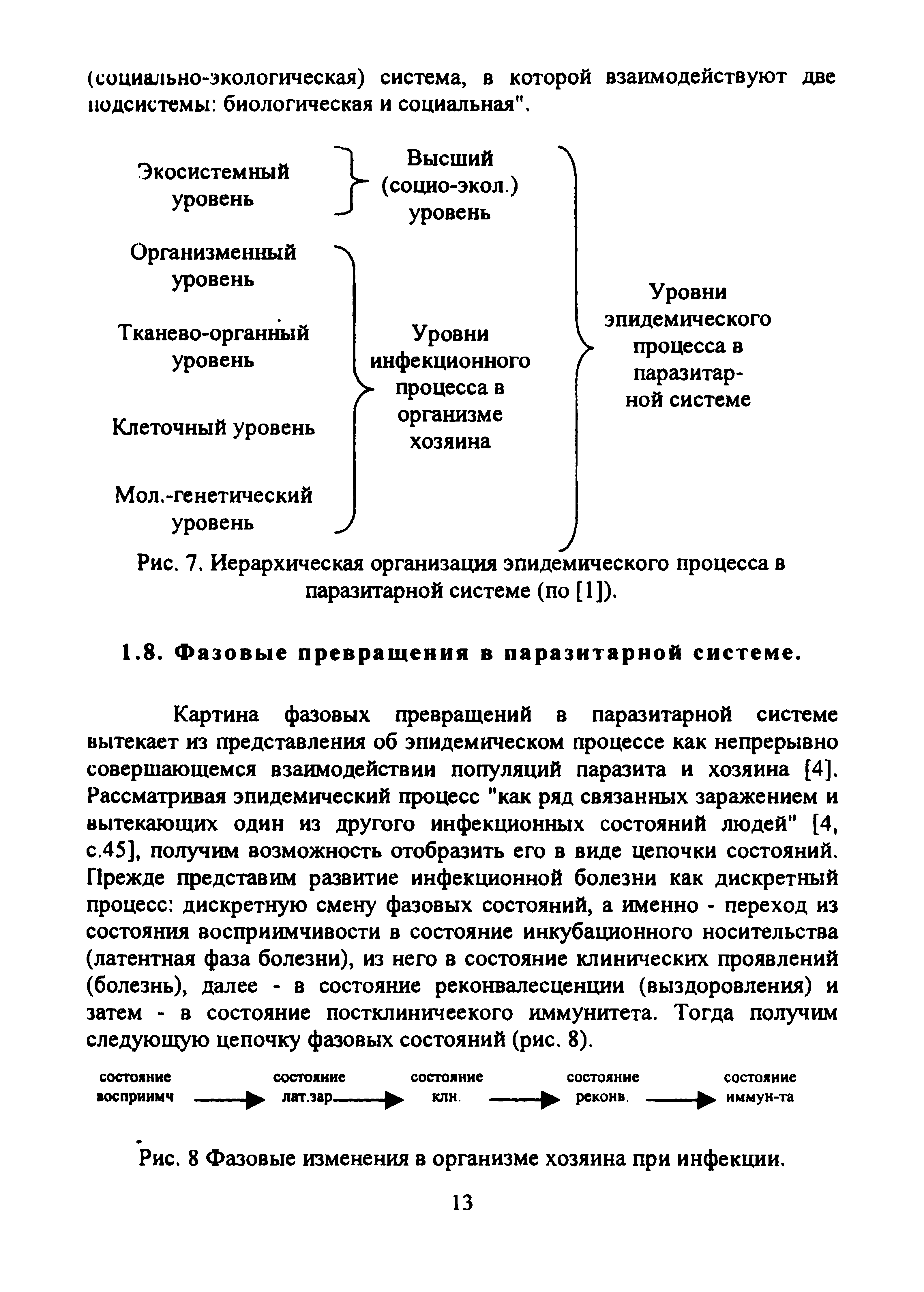 Рис. 7. Иерархическая организация эпидемического процесса в паразитарной системе (по [1]).