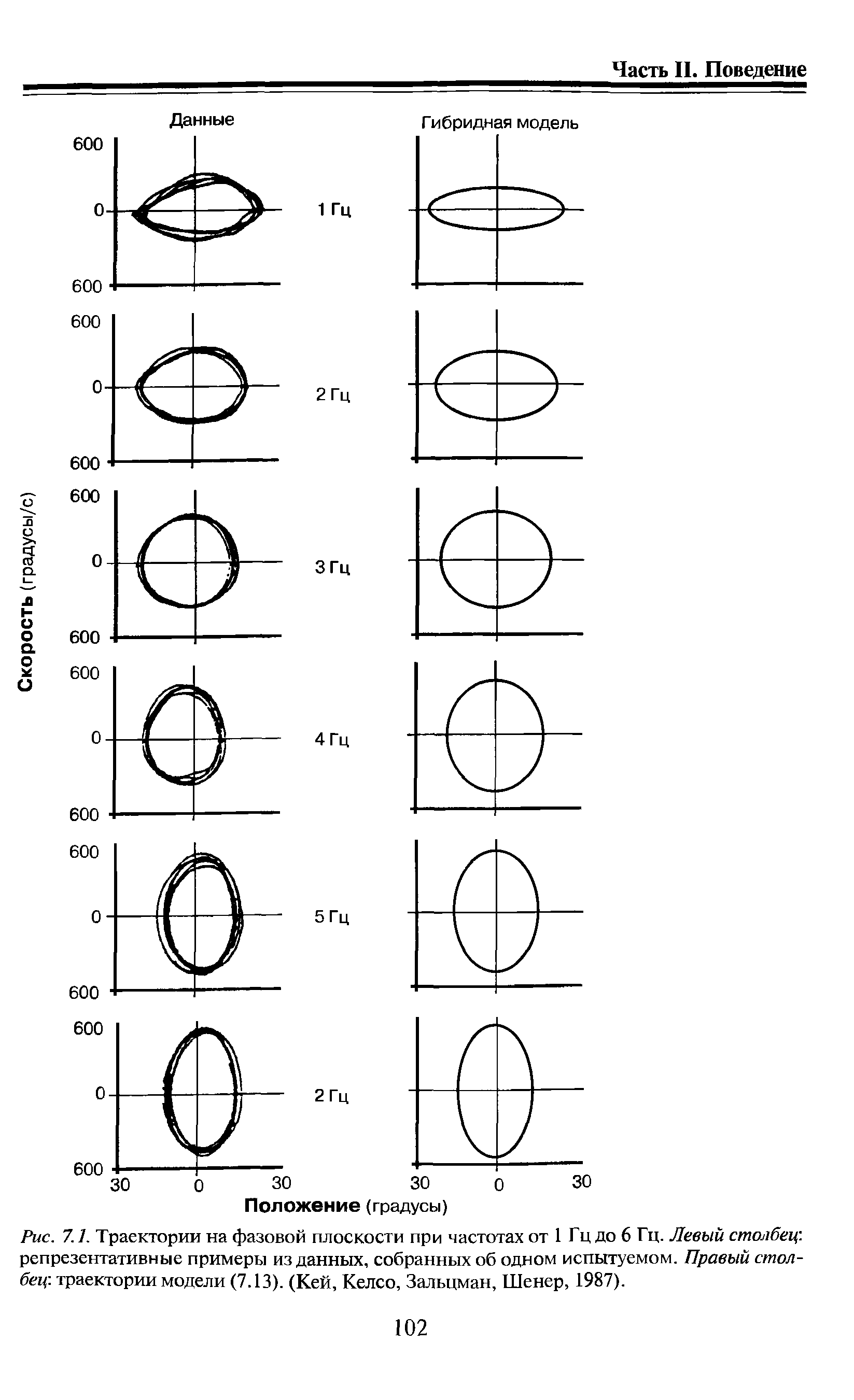 Рис. 7.1. Траектории на фазовой плоскости при частотах от 1 Гц до 6 Гц. Левый столбец. репрезентативные примеры изданных, собранных об одном испытуемом. Правый столбец траектории модели (7.13). (Кей, Келсо, Зальцман, Шенер, 1987).