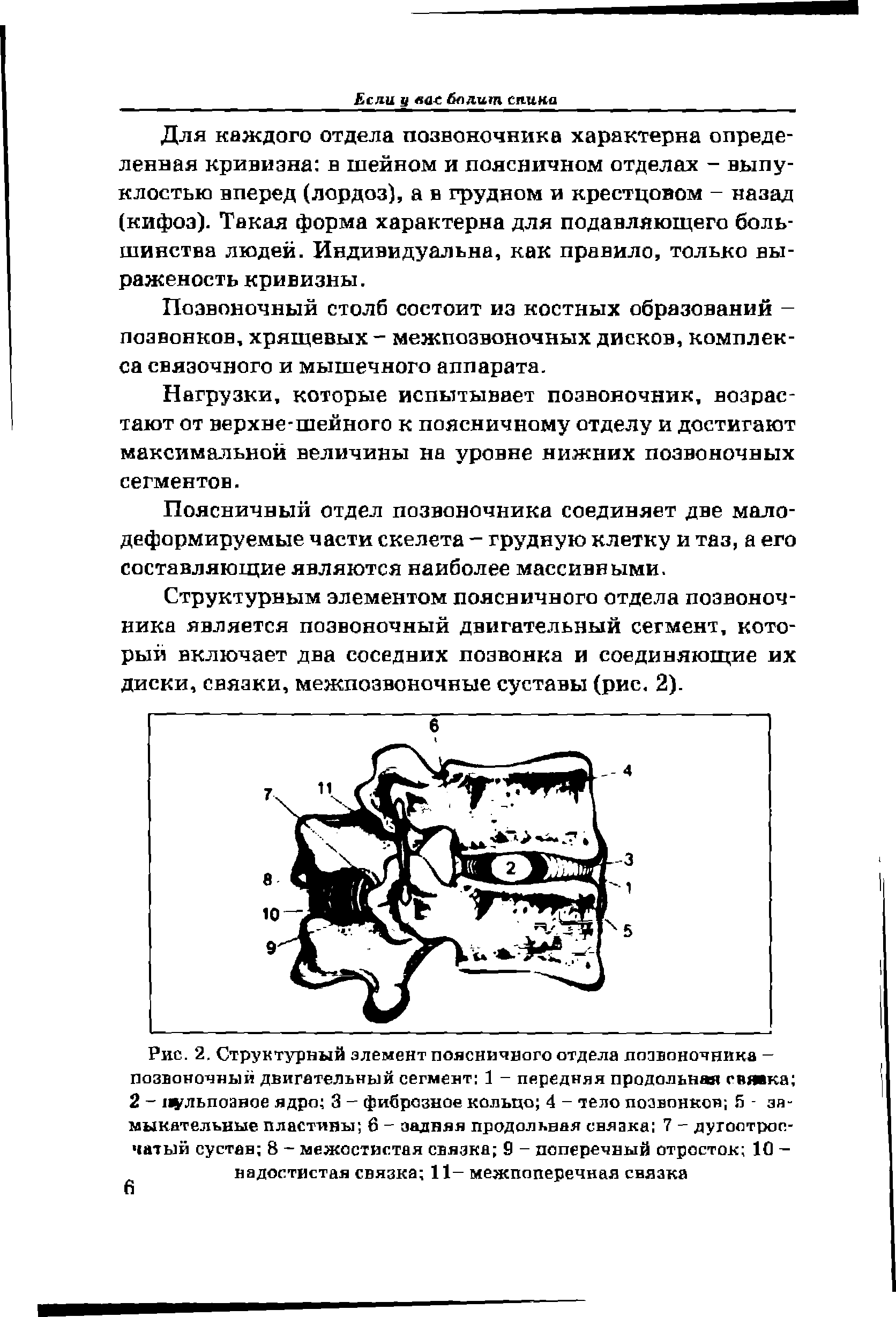 Рис. 2. Структурный элемент поясничного отдела позвоночника -позвоночный двигательный сегмент 1 - передняя продольная гпявка 2 - 1Ч льпоэное ядро 3 - фиброзное кольцо 4 - тело позвонков 5 - замыкательные пластины 6 - задняя продольная связка 7 - дугоотрос-чатый сустав 8 - межостистая связка 9 - поперечный отросток 10 -надостистая связка 11- межпоперечная связка...