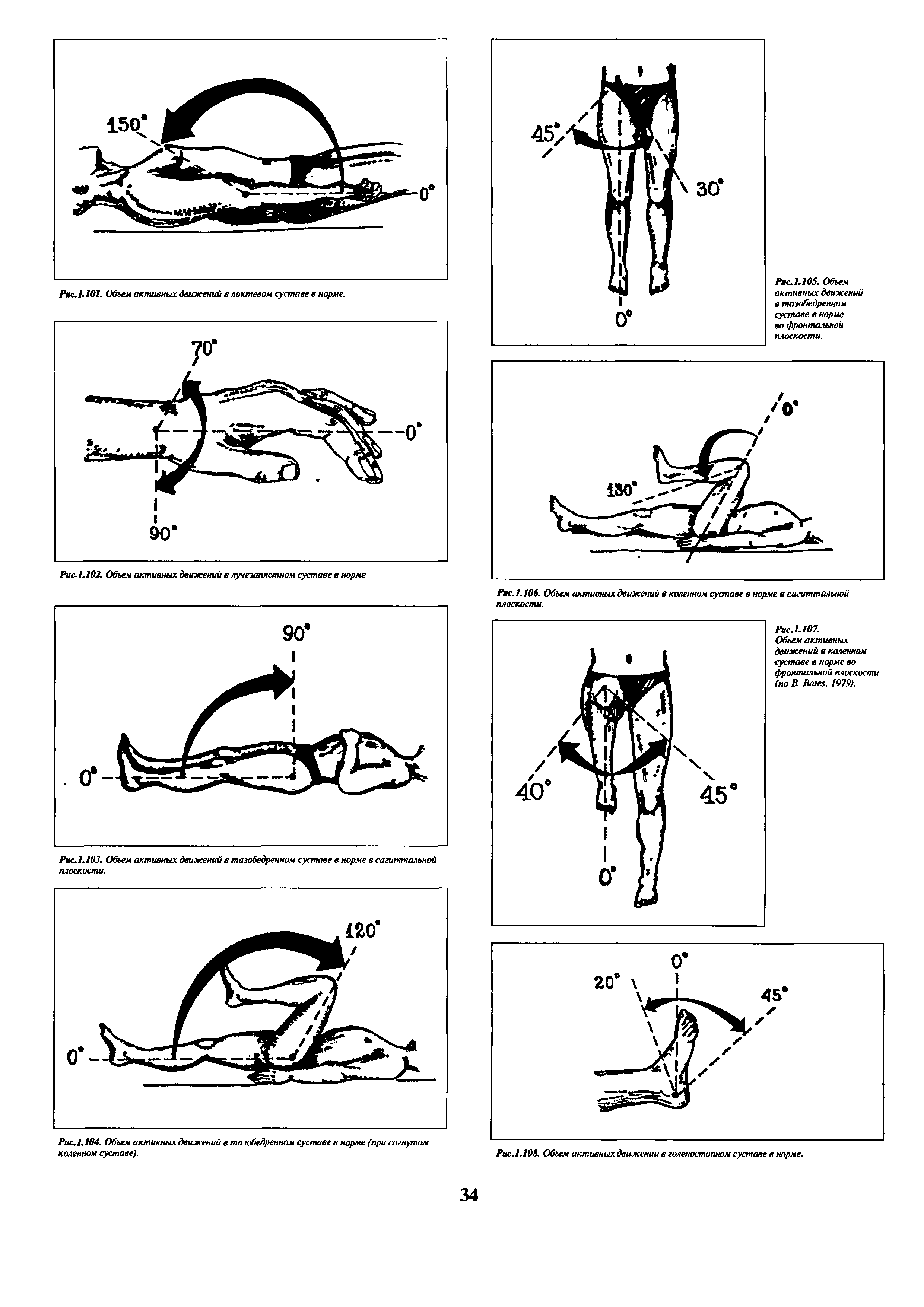 Рис.1.108. Объем активных движении в голеностопном суставе в норме.