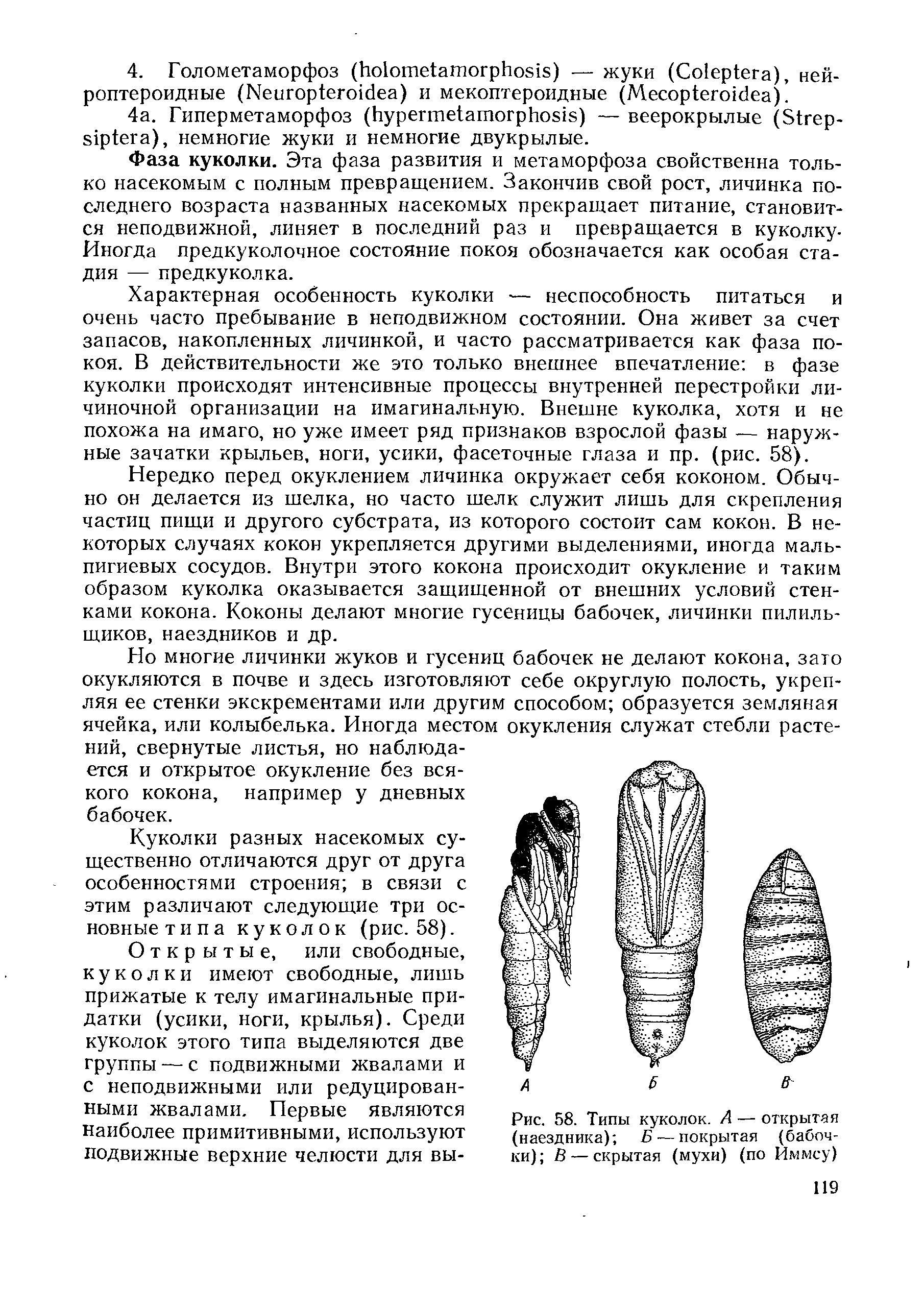 Рис. 58. Типы куколок. А — открытая (наездника) Б — покрытая (бабочки) В — скрытая (мухи) (по Иммсу)...