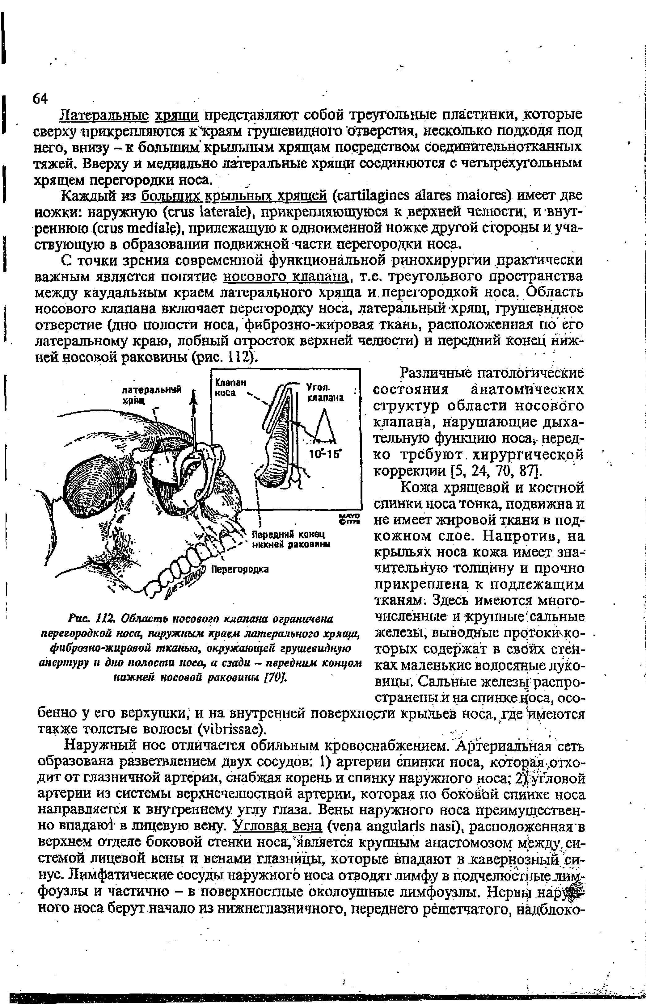 Рис. 112. Область носового клапана ограничена перегородкой носа, наружным краем латерального хряща, фиброзно-жировой тканью, окружающей грушевидную апертуру и дно полости носа, а сзади - передним концом нижней носовой раковины [70].