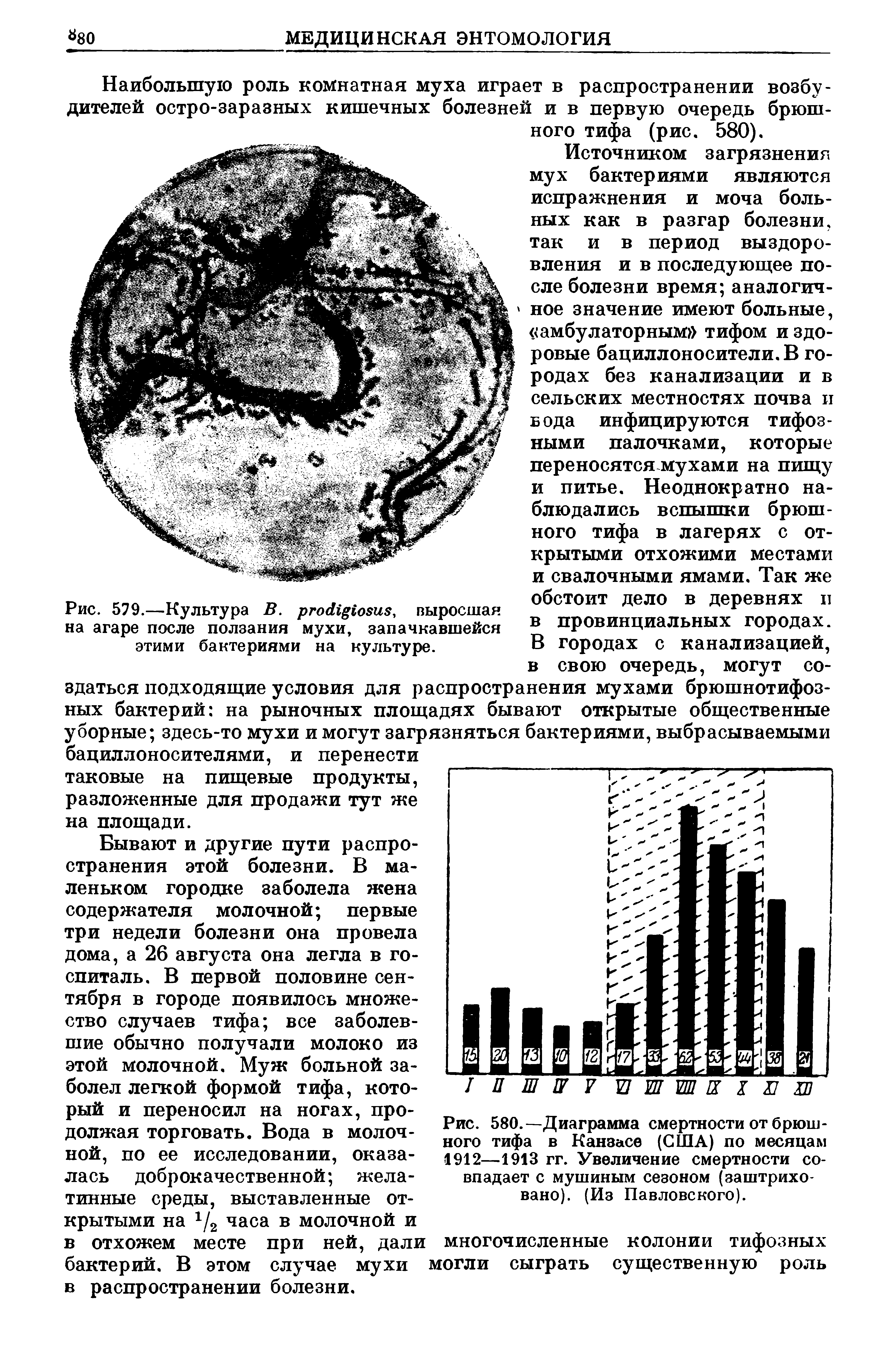 Рис. 580.—Диаграмма смертности от брюшного тифа в Канзасе (США) по месяцам 1912—1913 гг. Увеличение смертности совпадает с мушиным сезоном (заштриховано). (Из Павловского).