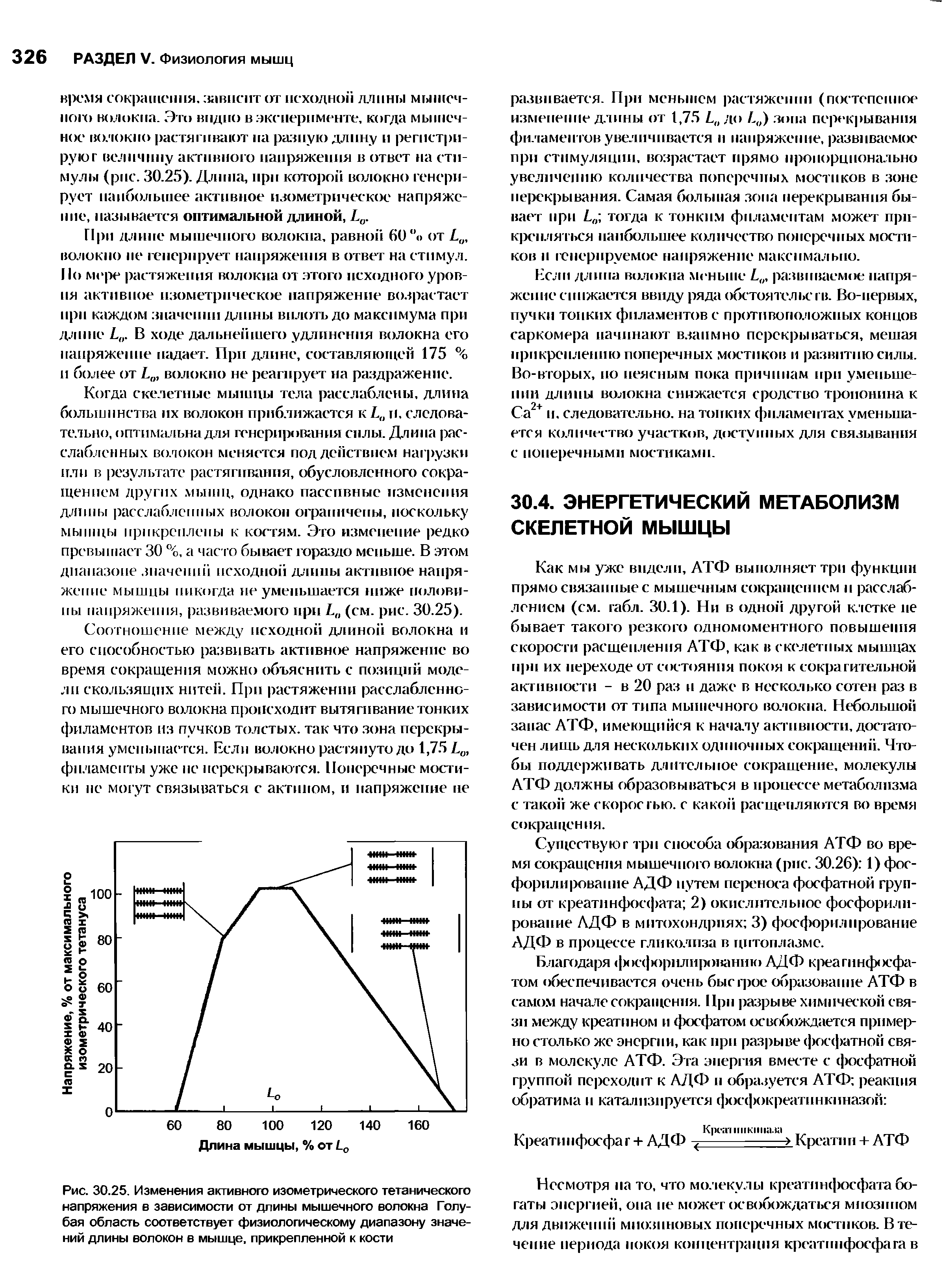 Рис. 30.25. Изменения активного изометрического тетанического напряжения в зависимости от длины мышечного волокна Голубая область соответствует физиологическому диапазону значений длины волокон в мышце, прикрепленной к кости...