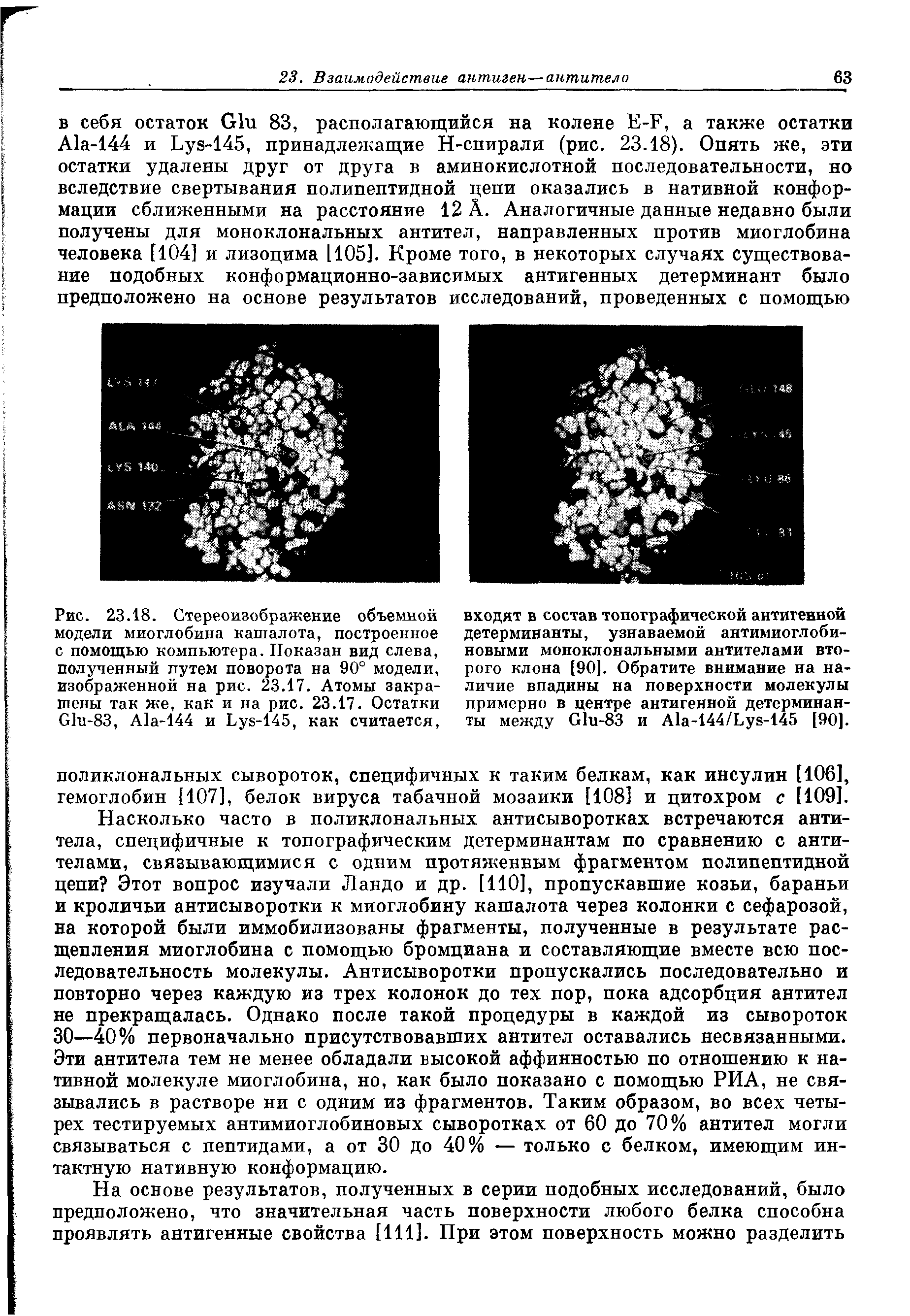 Рис. 23.18. Стереоизображение объемной модели миоглобина кашалота, построенное с помощью компьютера. Показан вид слева, полученный путем поворота на 90° модели, изображенной на рис. 23.17. Атомы закрашены так же, как и на рис. 23.17. Остатки О1и-83, А1а-144 и Ьун-145, как считается,...