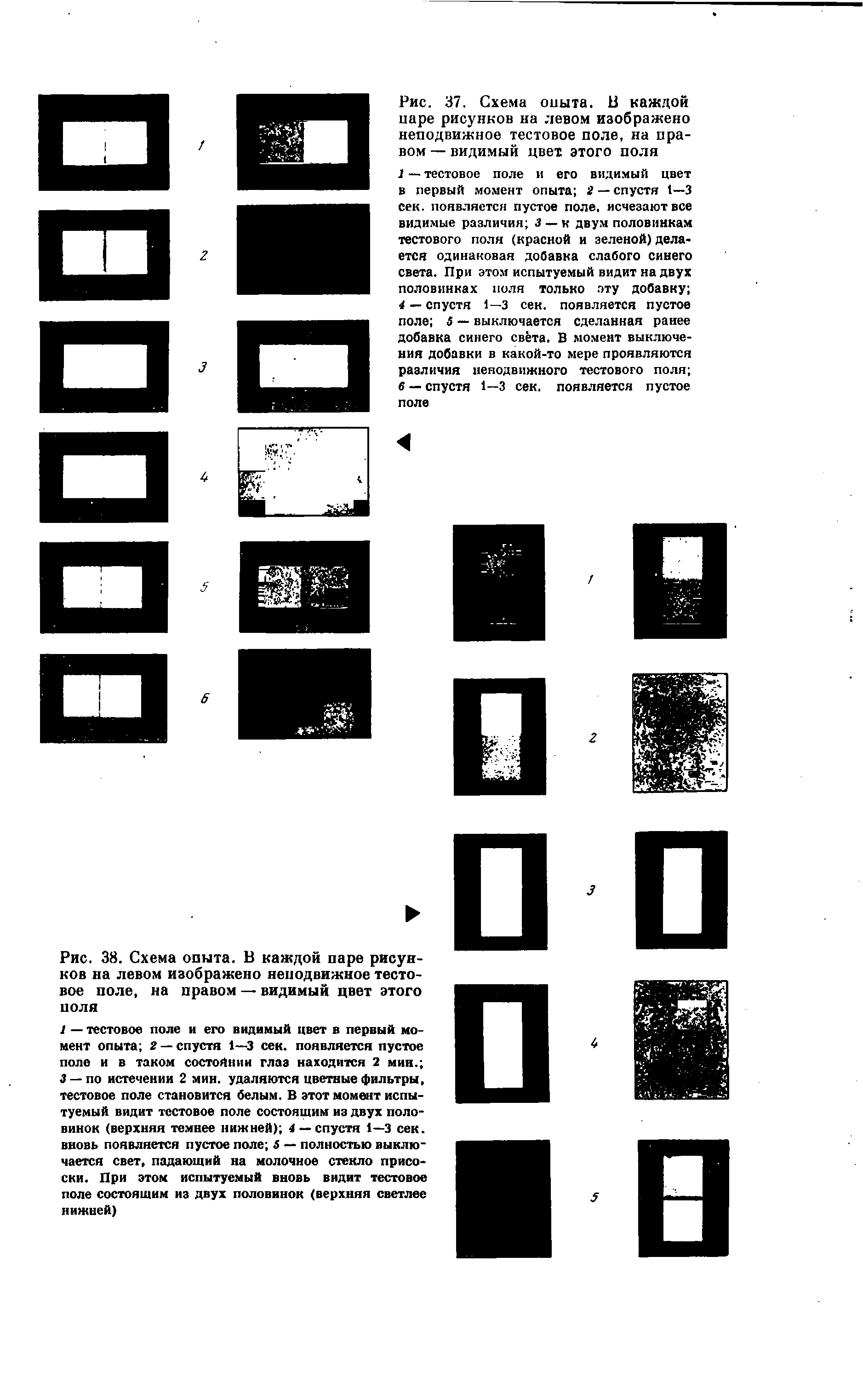 Рис. 37. Схема опыта. В каждой царе рисунков на левом изображено неподвижное тестовое поле, на правом — видимый цвет этого поля...