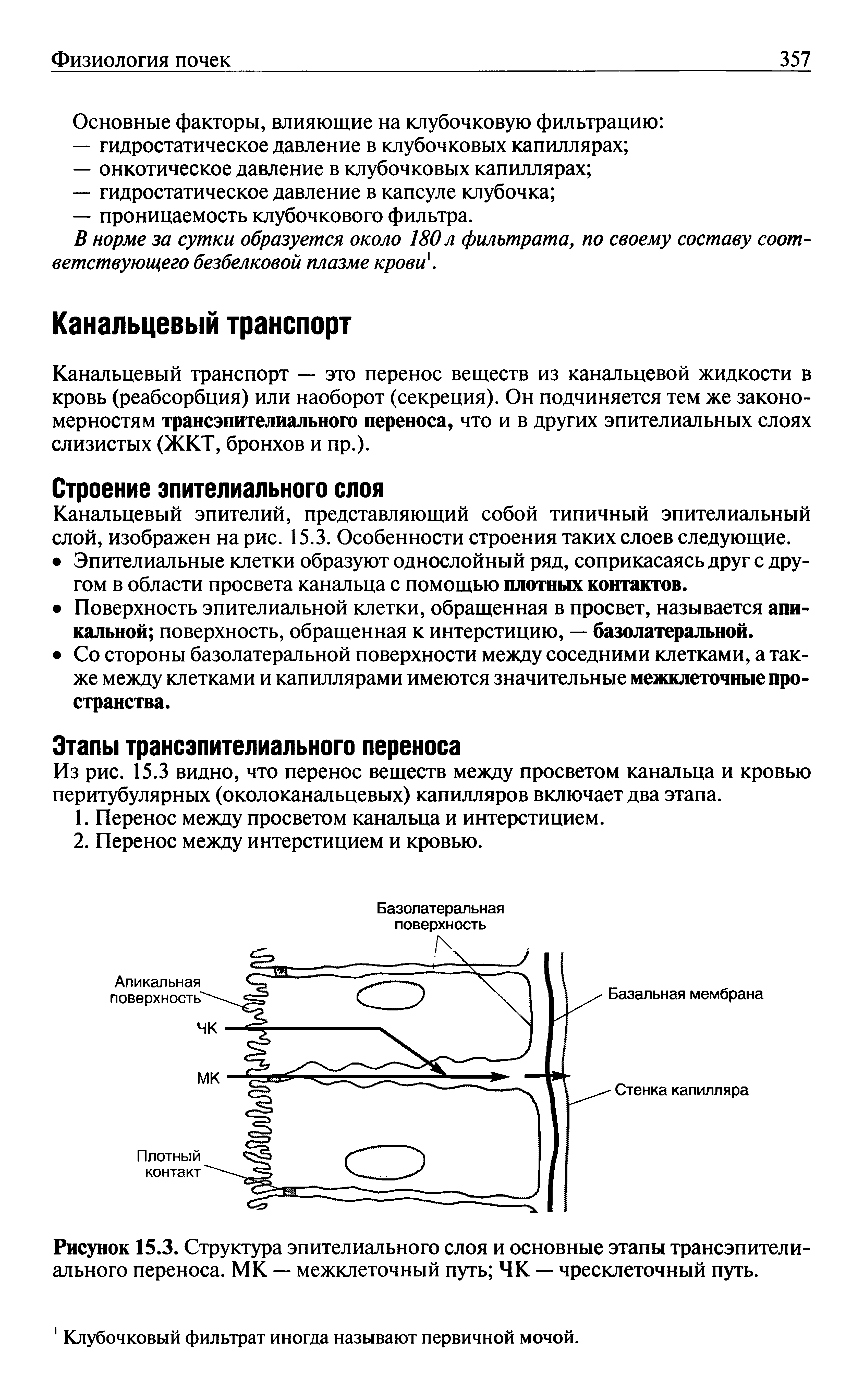 Рисунок 15.3. Структура эпителиального слоя и основные этапы трансэпителиального переноса. МК — межклеточный путь ЧК — чресклеточный путь.