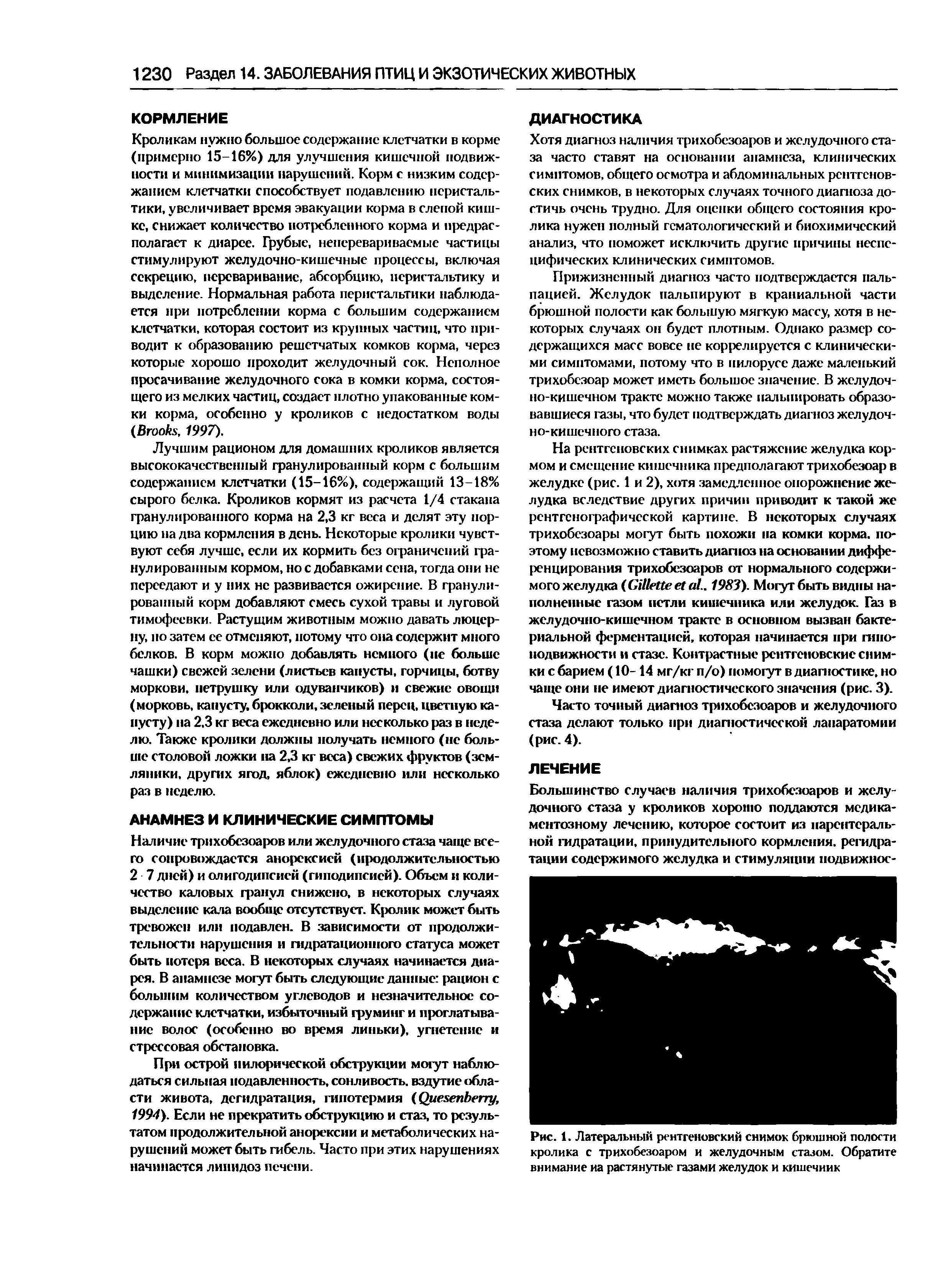 Рис. 1. Латеральный рентгеновский снимок брюшной полости кролика с трихобезоаром и желудочным стазом. Обратите внимание иа растянутые газами желудок и кишечник...