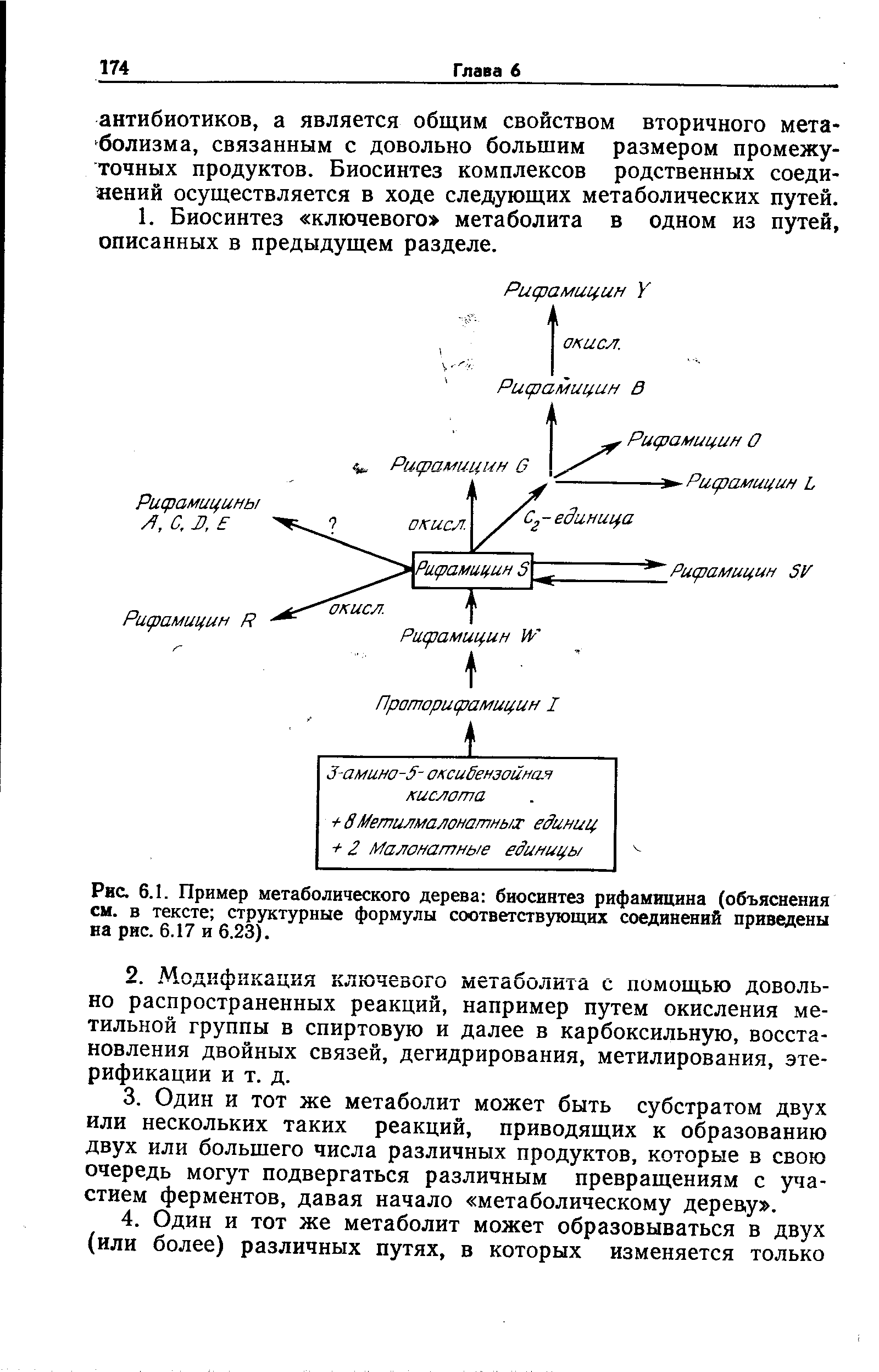 Рис. 6.1. Пример метаболического дерева биосинтез рифамицина (объяснения см. в тексте структурные формулы соответствующих соединений приведены на рис. 6.17 и 6.23).