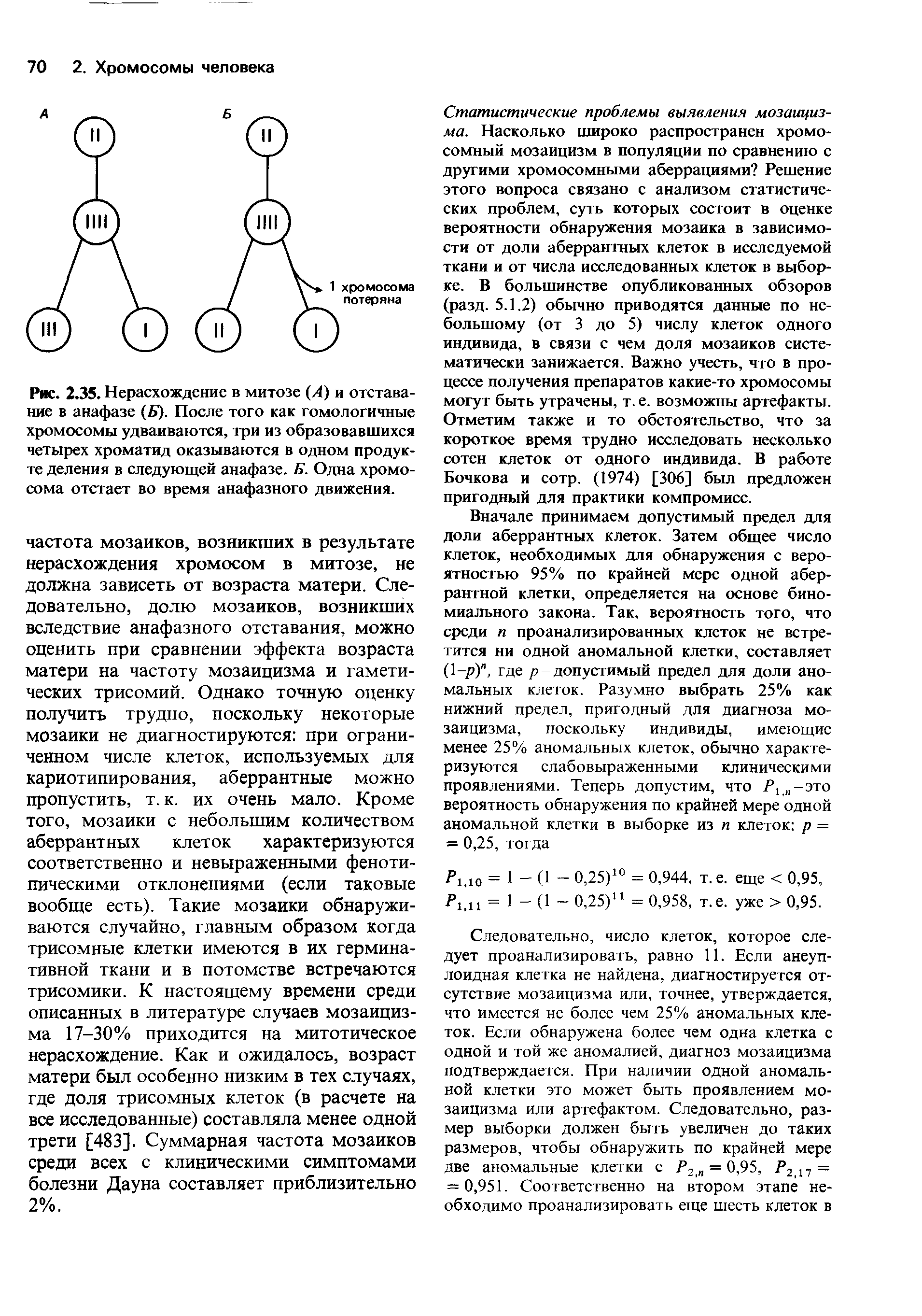 Рис. 2.35. Нерасхождение в митозе (Л) и отставание в анафазе (Б). После того как гомологичные хромосомы удваиваются, три из образовавшихся четырех хроматид оказываются в одном продукте деления в следующей анафазе. Б. Одна хромосома отстает во время анафазного движения.