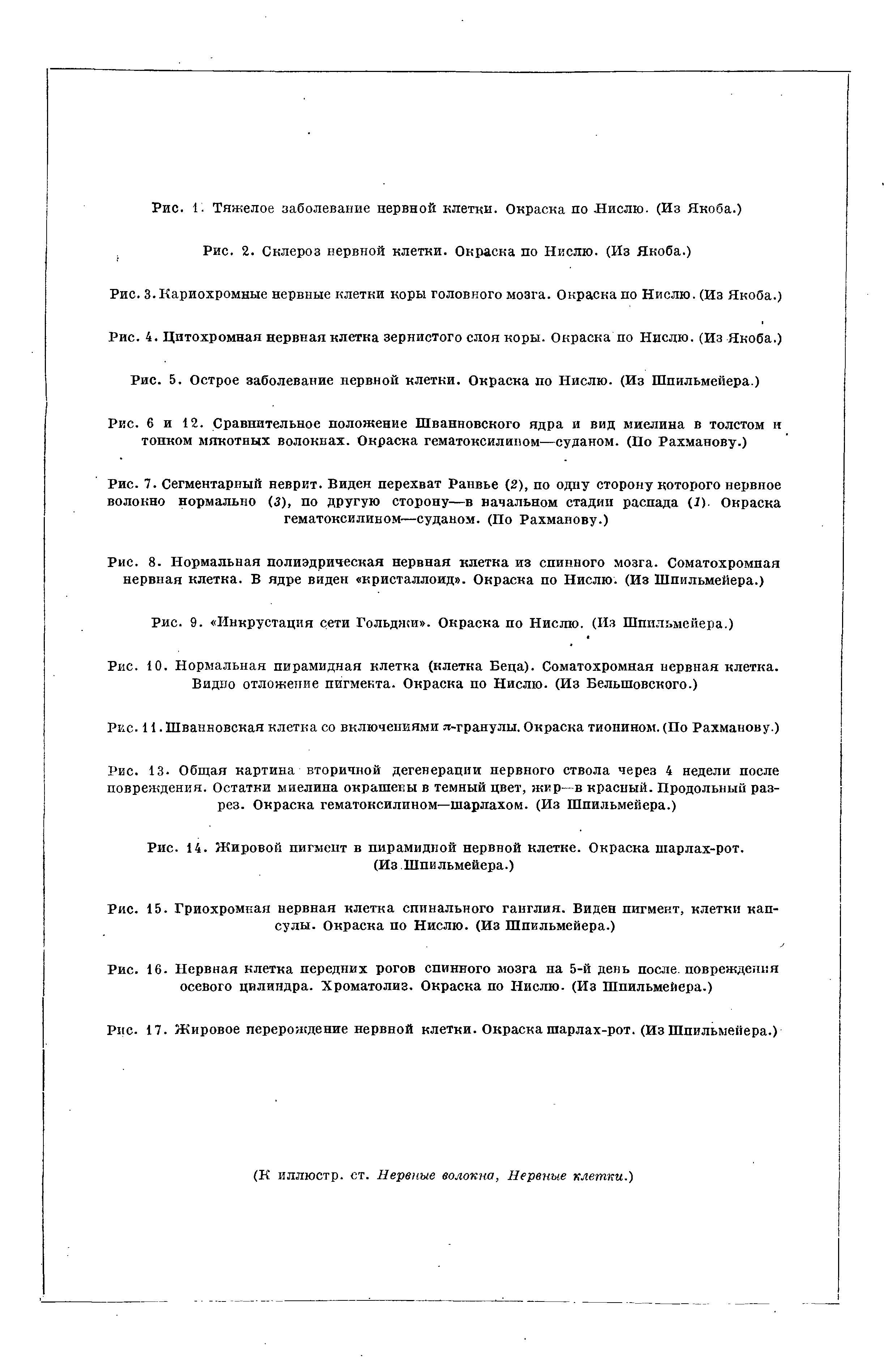 Рис. 7. Сегментарный неврит. Виден перехват Ранвье (2), по одну сторону которого нервное волокно нормально (3), по другую сторону—в начальном стадии распада (1). Окраска гематоксилином—Суданом. (По Рахманову.)...