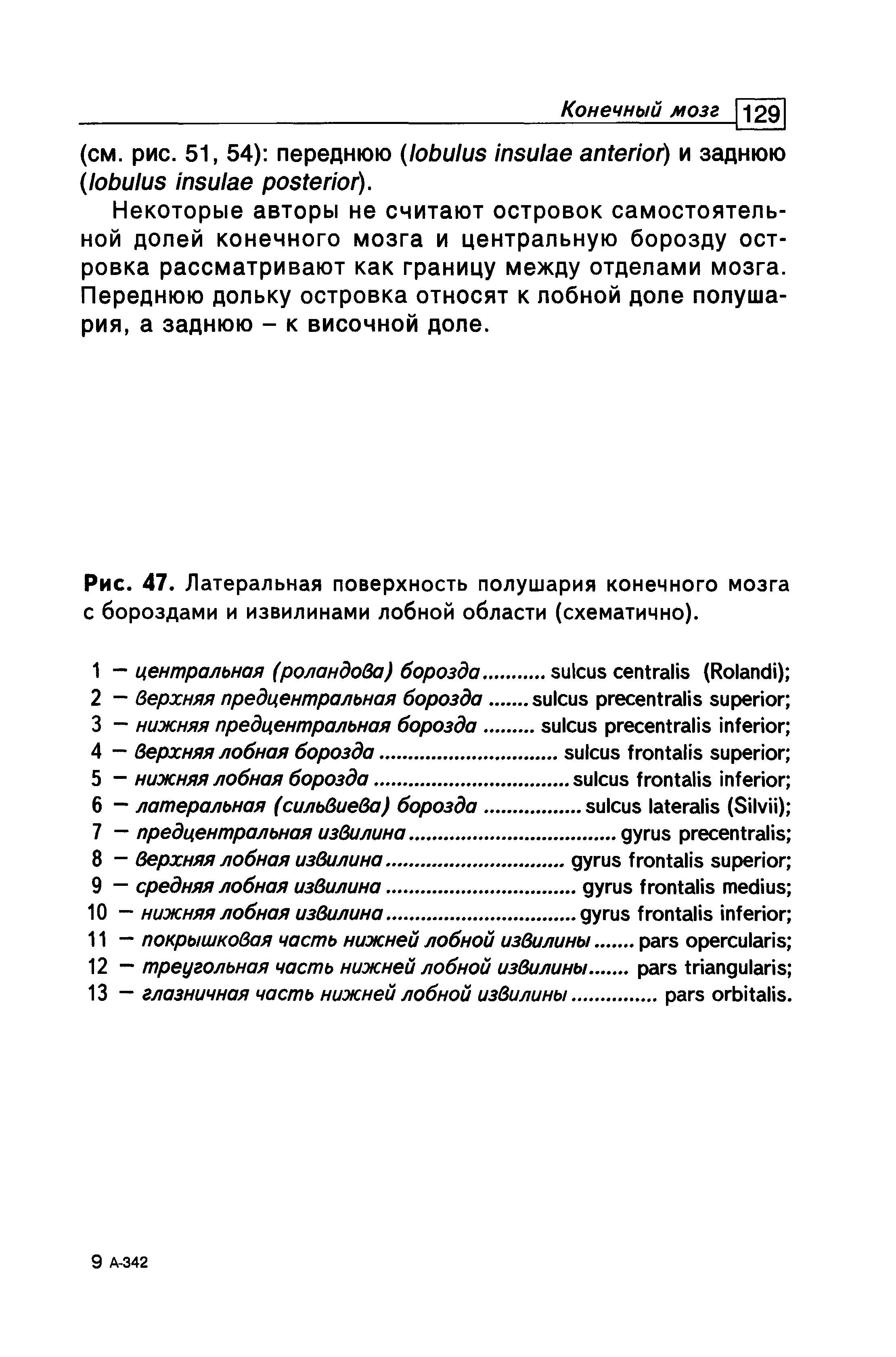 Рис. 47. Латеральная поверхность полушария конечного мозга с бороздами и извилинами лобной области (схематично).