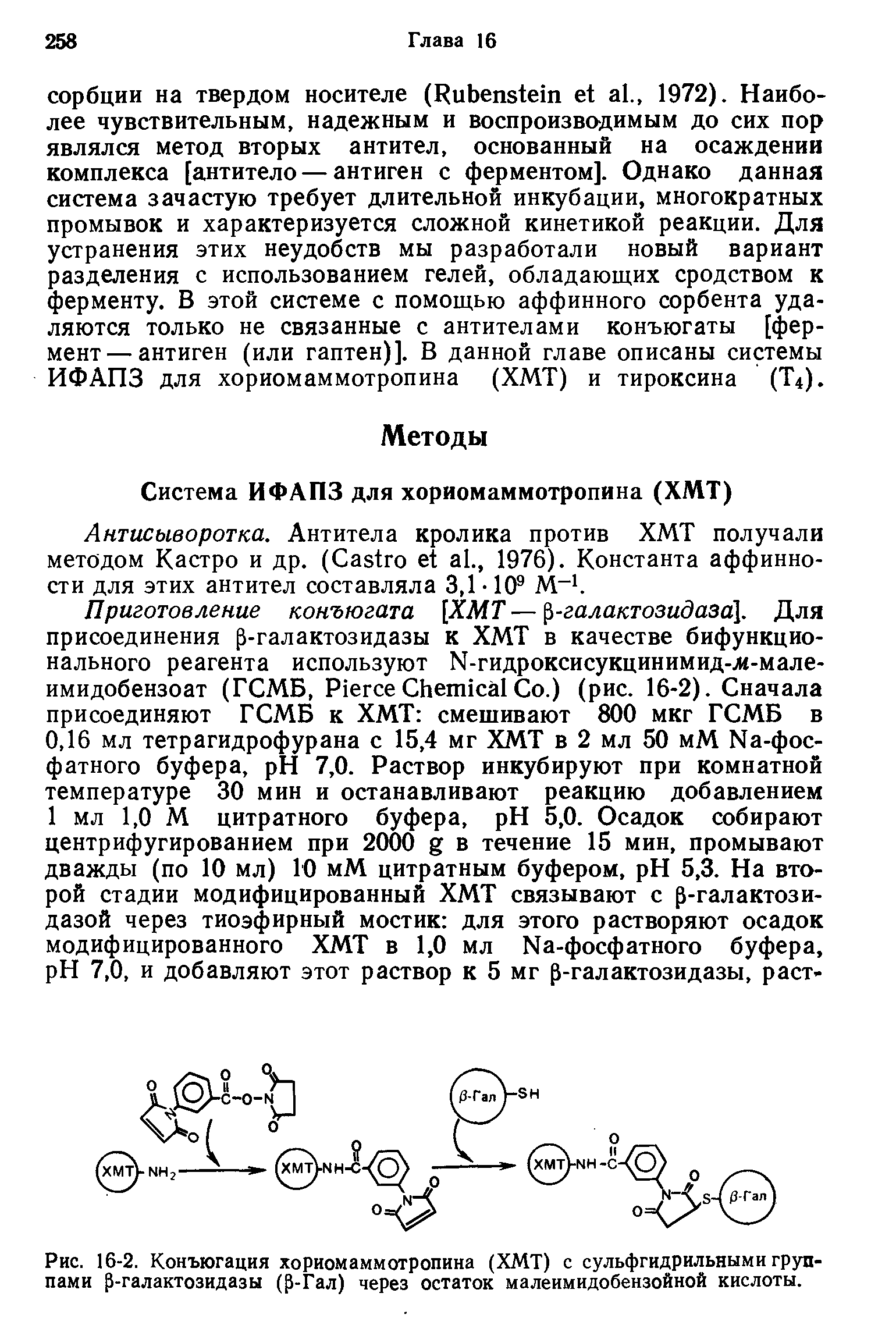 Рис. 16-2. Конъюгация хориомаммотропина (ХМТ) с сульфгидрильными группами р-галактозидазы (р-Гал) через остаток малеимидобензойной кислоты.