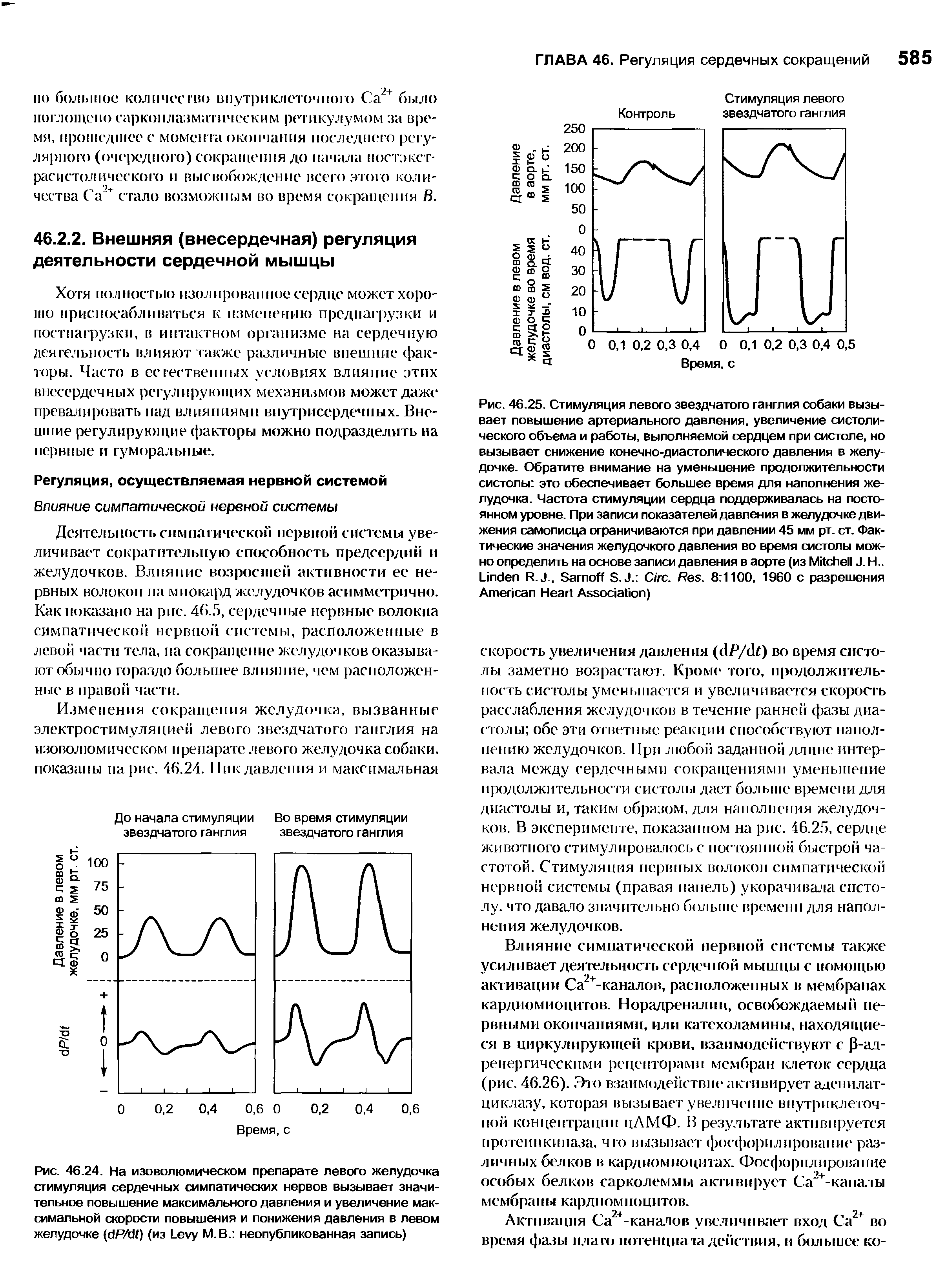 Рис. 46.24. На изоволюмическом препарате левого желудочка стимуляция сердечных симпатических нервов вызывает значительное повышение максимального давления и увеличение максимальной скорости повышения и понижения давления в левом желудочке ( P/ ) (из L М. В. неопубликованная запись)...