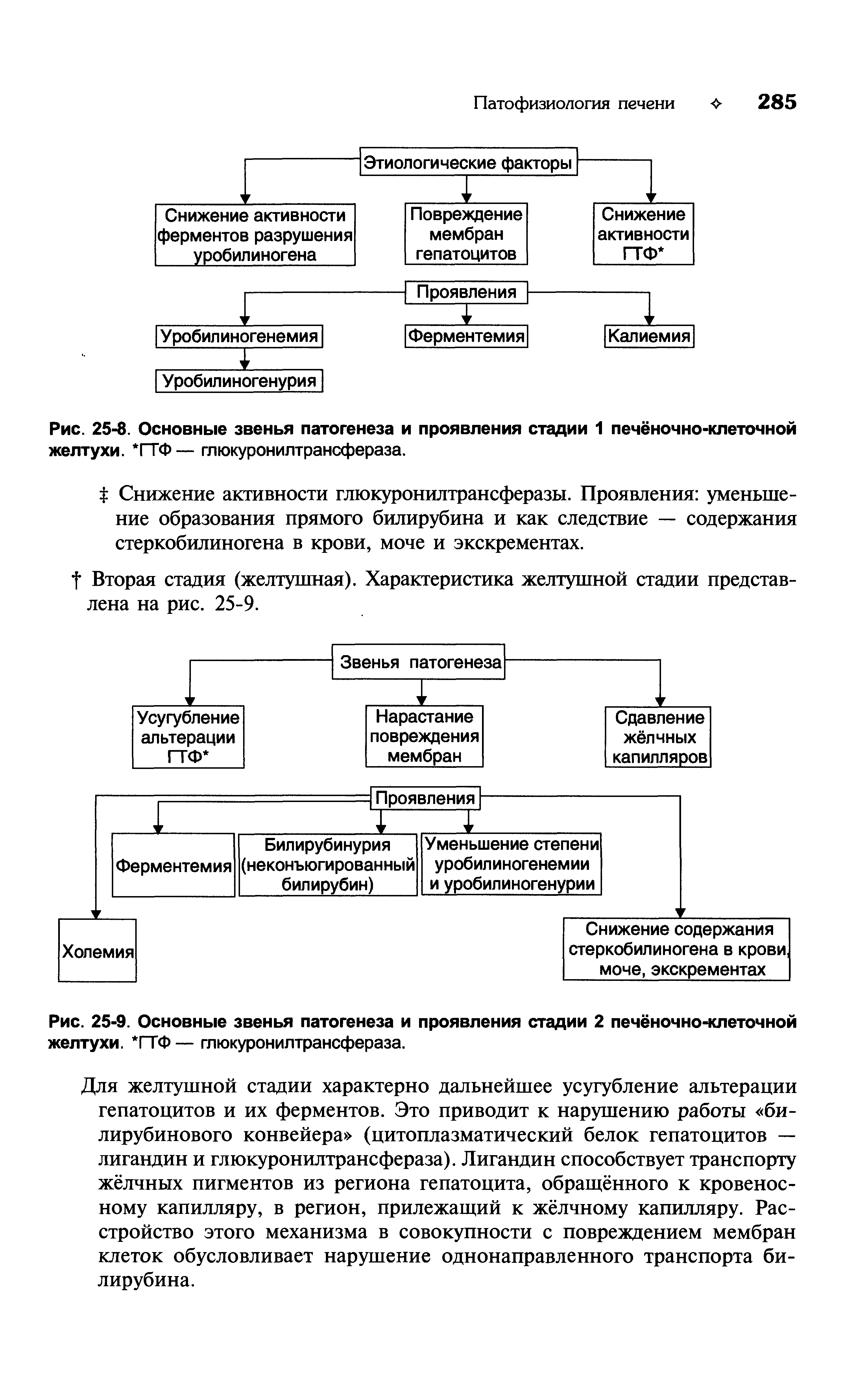 Рис. 25-8. Основные звенья патогенеза и проявления стадии 1 печёночно-клеточной желтухи. ГТФ— глюкуронилтрансфераза.