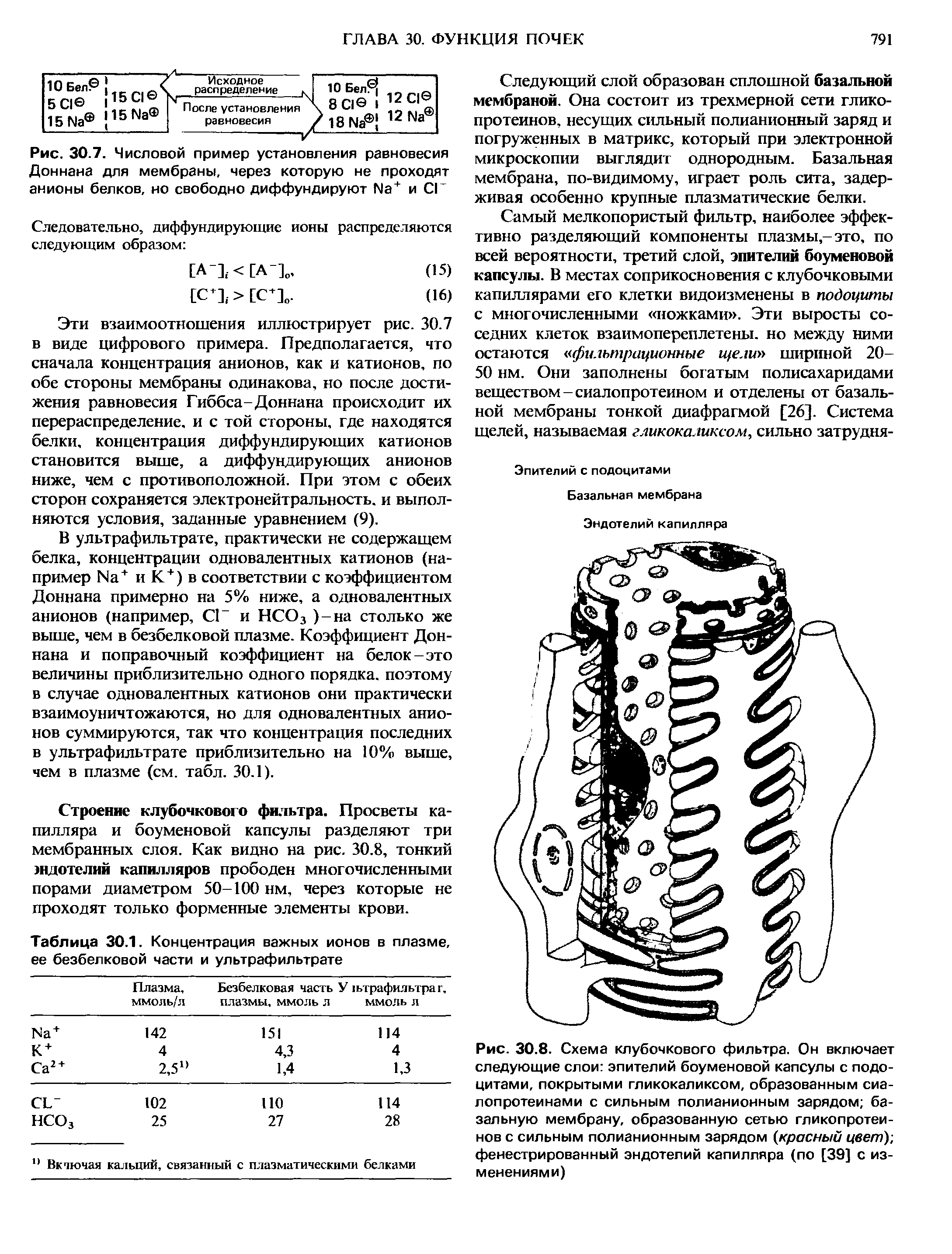 Рис. 30.7. Числовой пример установления равновесия Доннана для мембраны, через которую не проходят анионы белков, но свободно диффундируют №+ и СК...