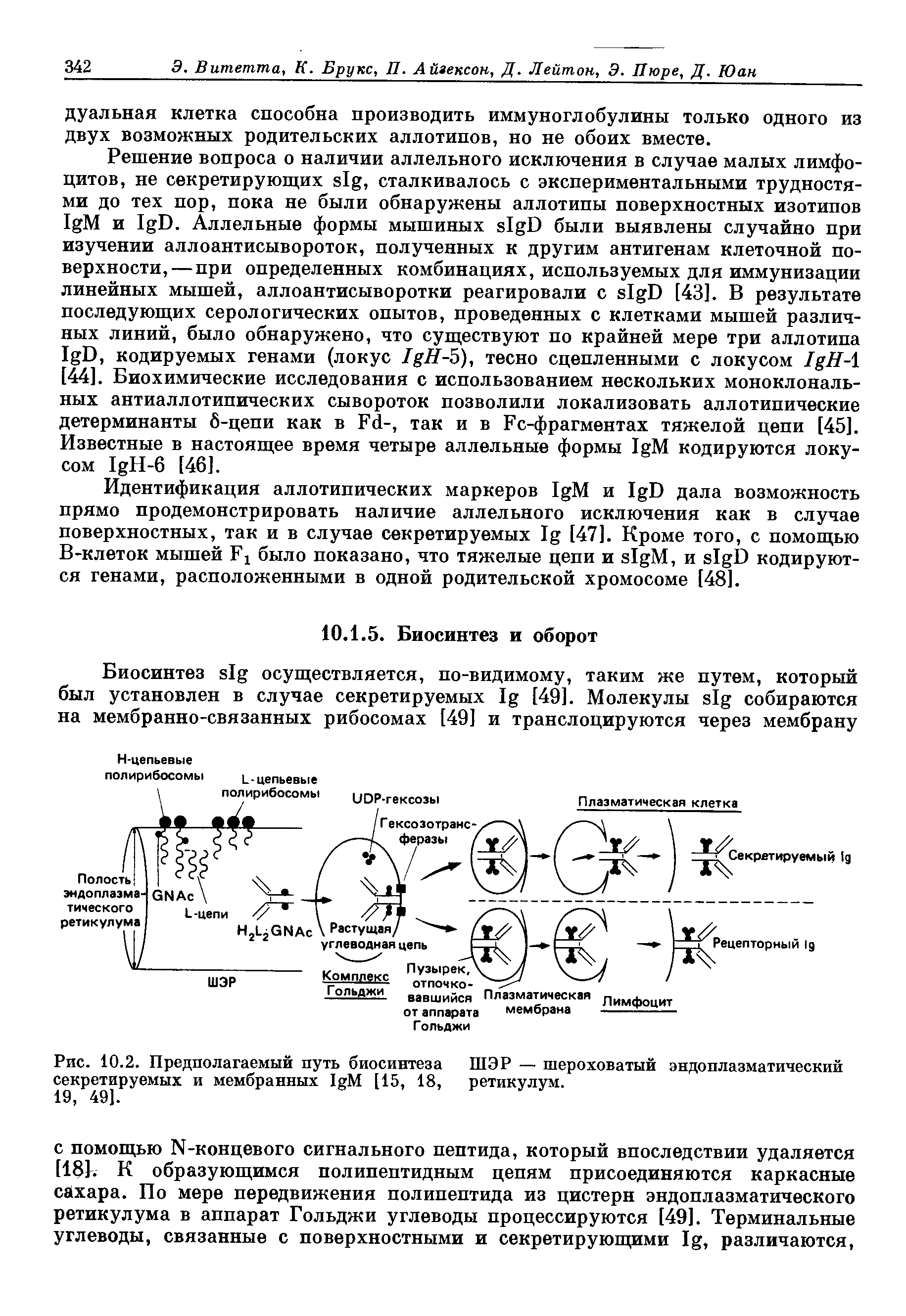 Рис. 10.2. Предполагаемый путь биосинтеза ШЭР — шероховатый эндоплазматический секретируемых и мембранных I M [15, 18, ретикулум.