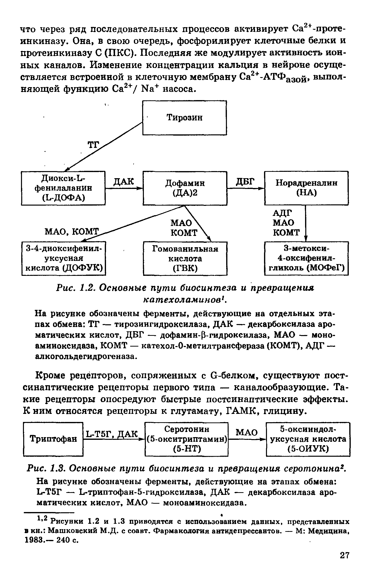 Рис. 1.3. Основные пути биосинтеза и превращения серотонина2. На рисунке обозначены ферменты, действующие на этапах обмена Ь-Т5Г — Ь-триптофан-б-гидроксилаза, ДАК — декарбоксилаза ароматических кислот, МАО — моноаминоксидаза.