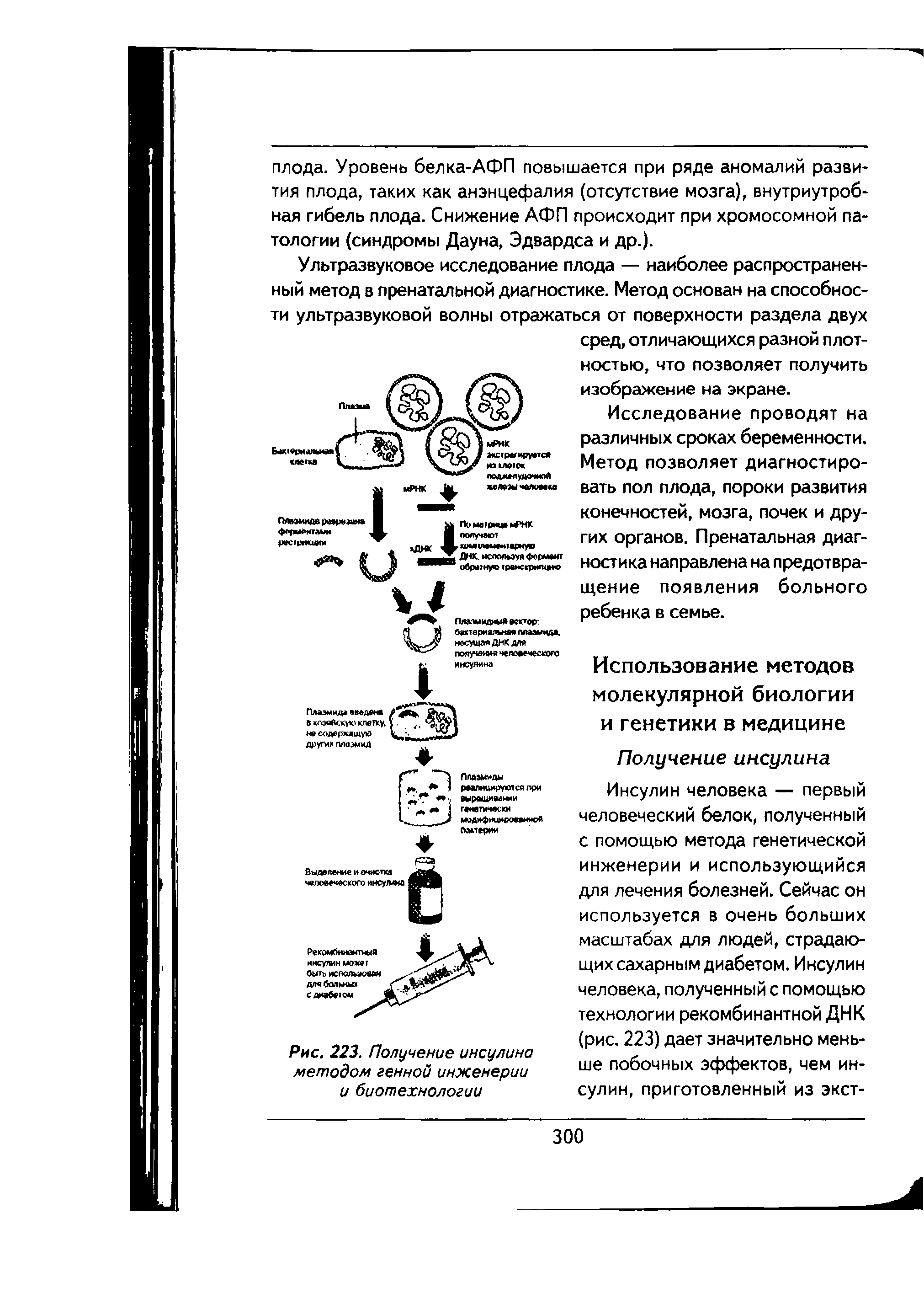 Рис. 223. Получение инсулина методом генной инженерии и биотехнологии...