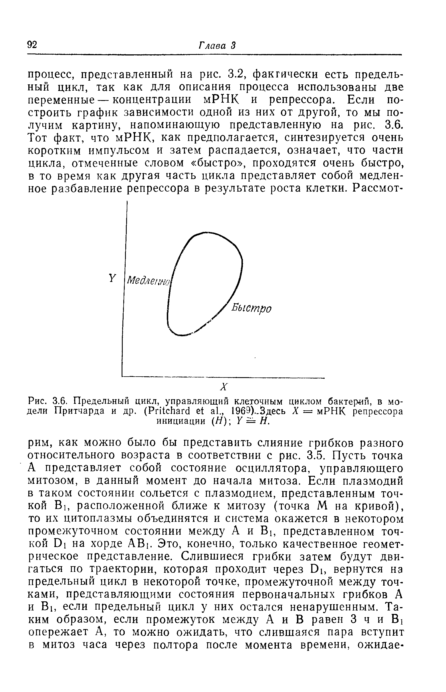 Рис. 3.6. Предельный цикл, управляющий клеточным циклом бактерий, в модели Притчарда и др. (P ., 1969)..3десь X = мРНК репрессора инициации (Н) Y = Н.