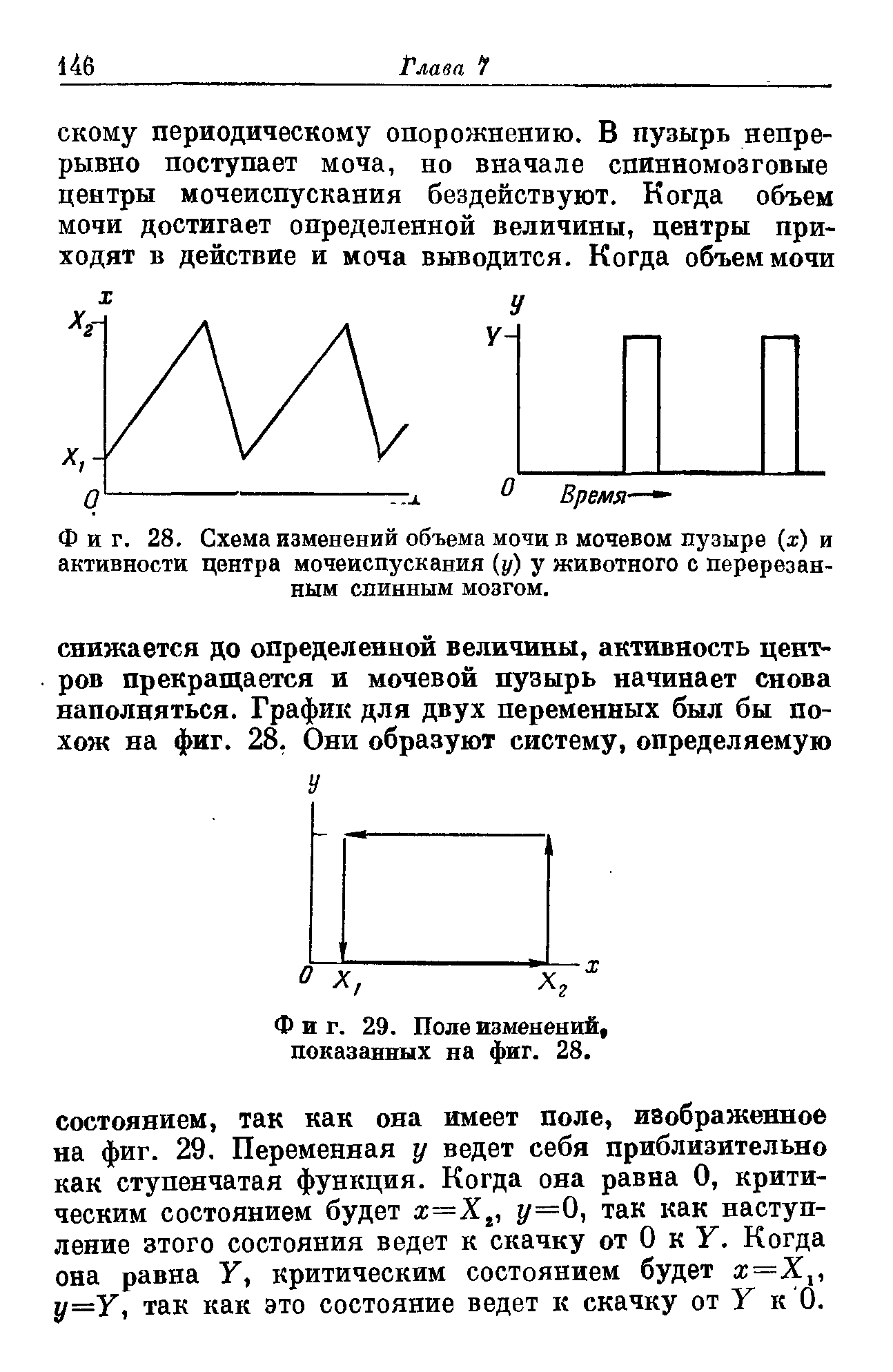 Фиг. 28. Схема изменений объема мочи в мочевом пузыре х) и активности центра мочеиспускания (у) у животного с перерезанным спинным мозгом.