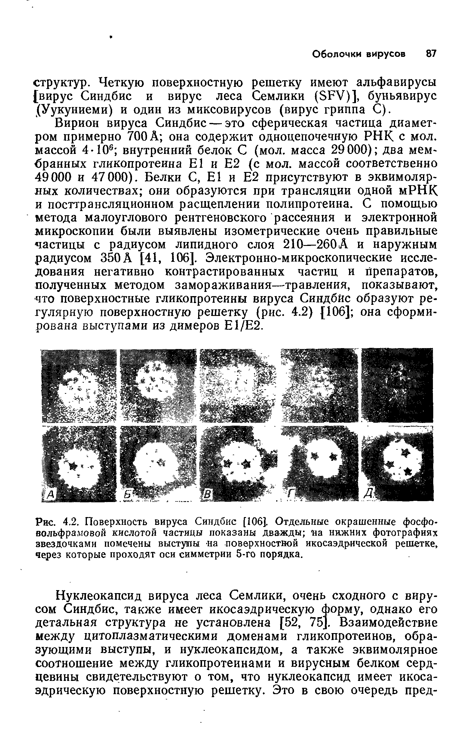 Рис. 4.2. Поверхность вируса Синдбис [106]. Отдельные окрашенные фосфовольфрамовой кислотой частицы показаны дважды на нижних фотографиях звездочками помечены выступы на поверхностной икосаэдрической решетке, через которые проходят оси симметрии 5-го порядка.