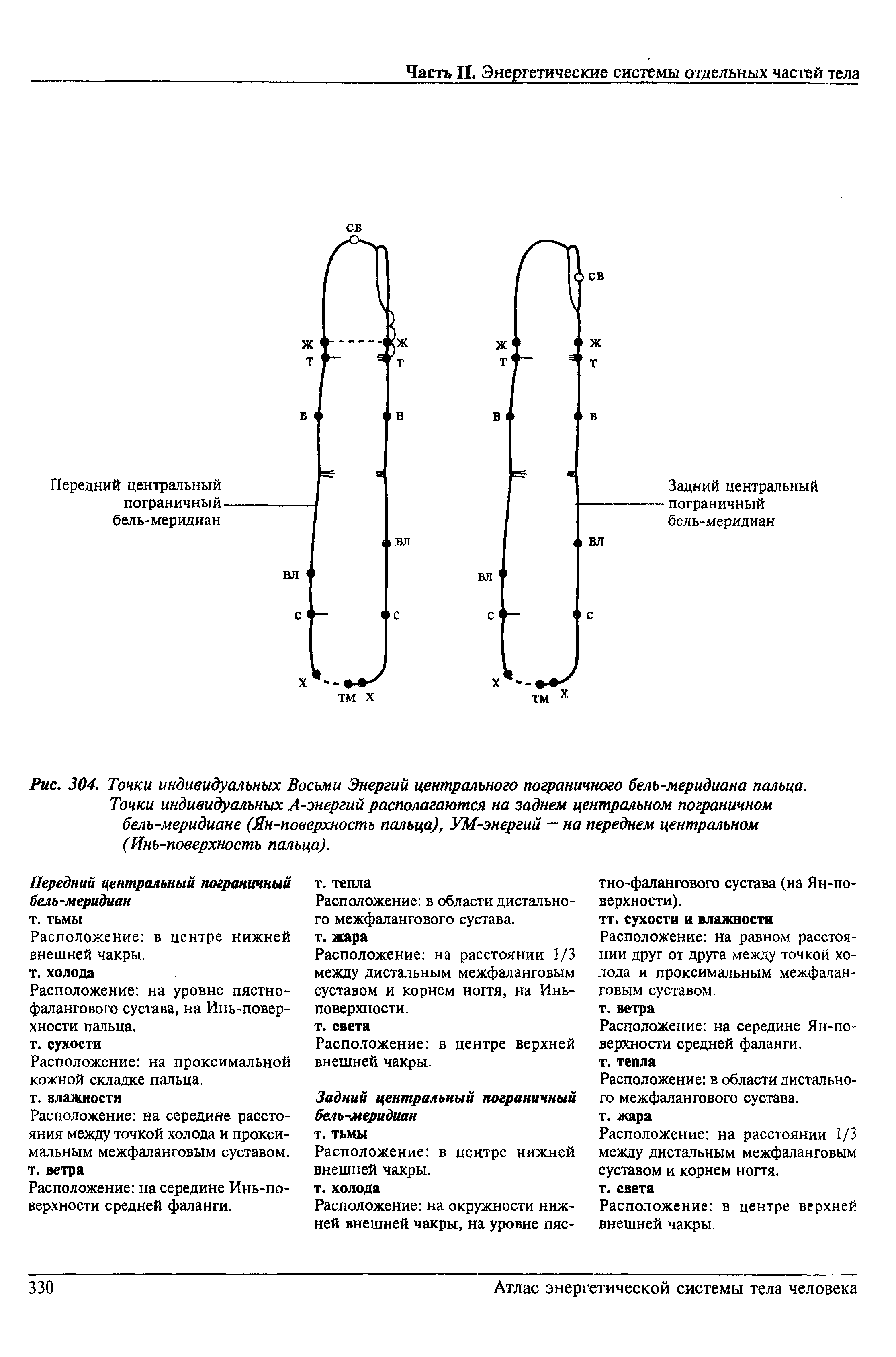 Рис. 304. Точки индивидуальных Восьми Энергий центрального пограничного бель-меридиана пальца.