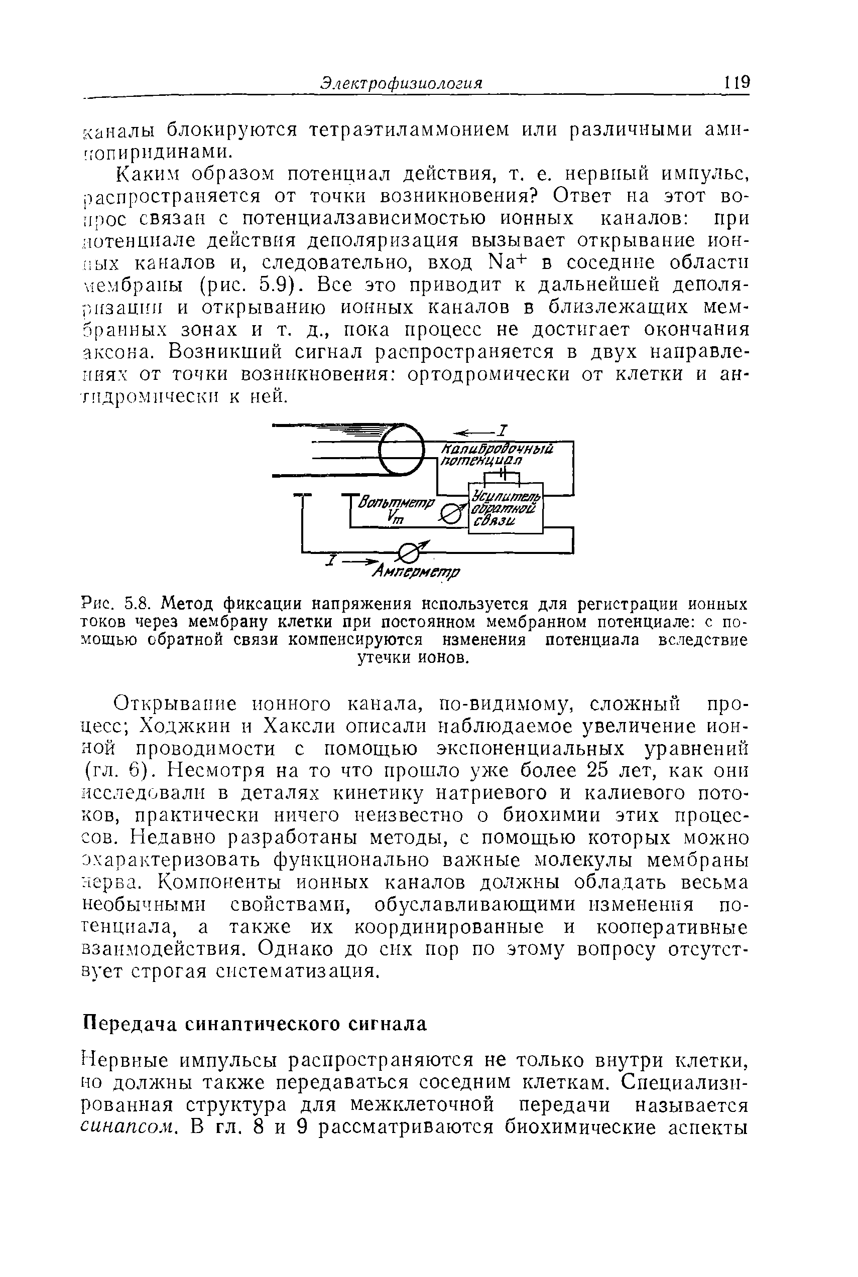 Рис. 5.8. Метод фиксации напряжения используется для регистрации ионных токов через мембрану клетки при постоянном мембранном потенциале с помощью обратной связи компенсируются изменения потенциала вследствие утечки ионов.