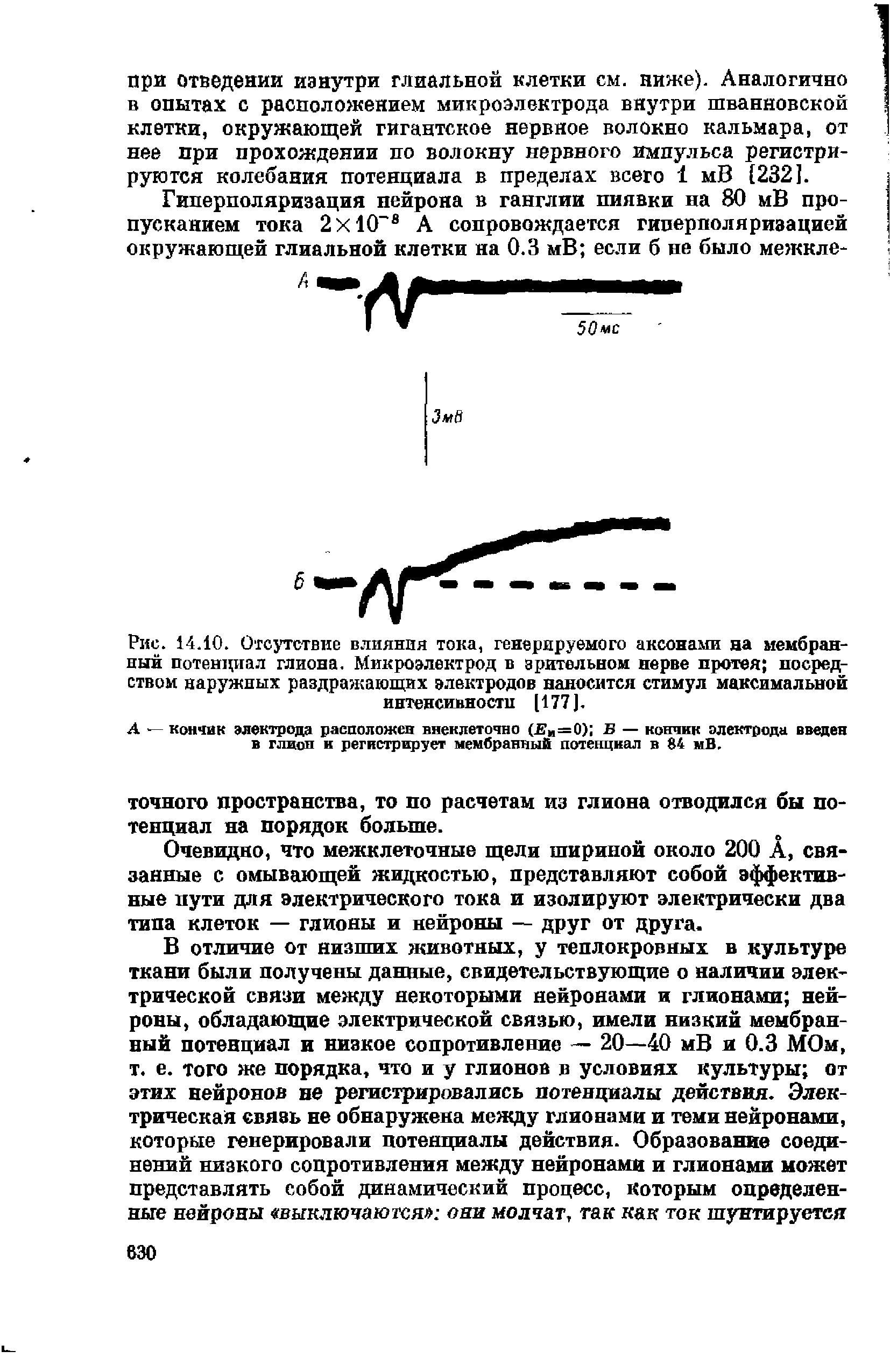 Рис. 14.10. Отсутствие влияния тока, генерируемого аксонами на мембранный потенциал глиона. Микроэлектрод в зрительном нерве протея посредством наружных раздражающих электродов наносится стимул максимальной интенсивности [177].