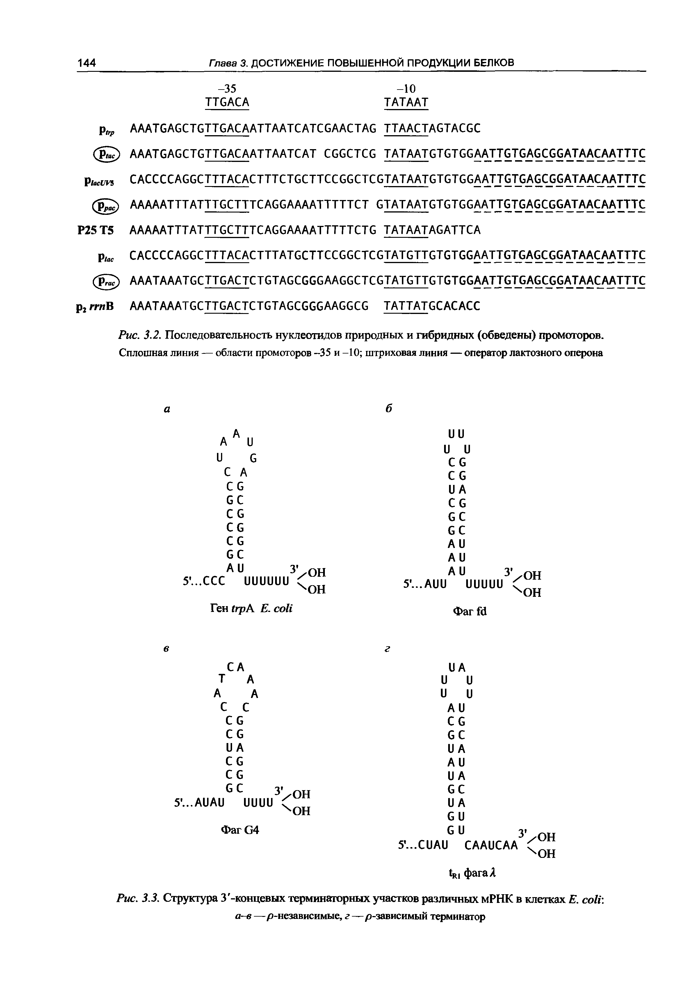 Рис. 3.2. Последовательность нуклеотидов природных и гибридных (обведены) промоторов.