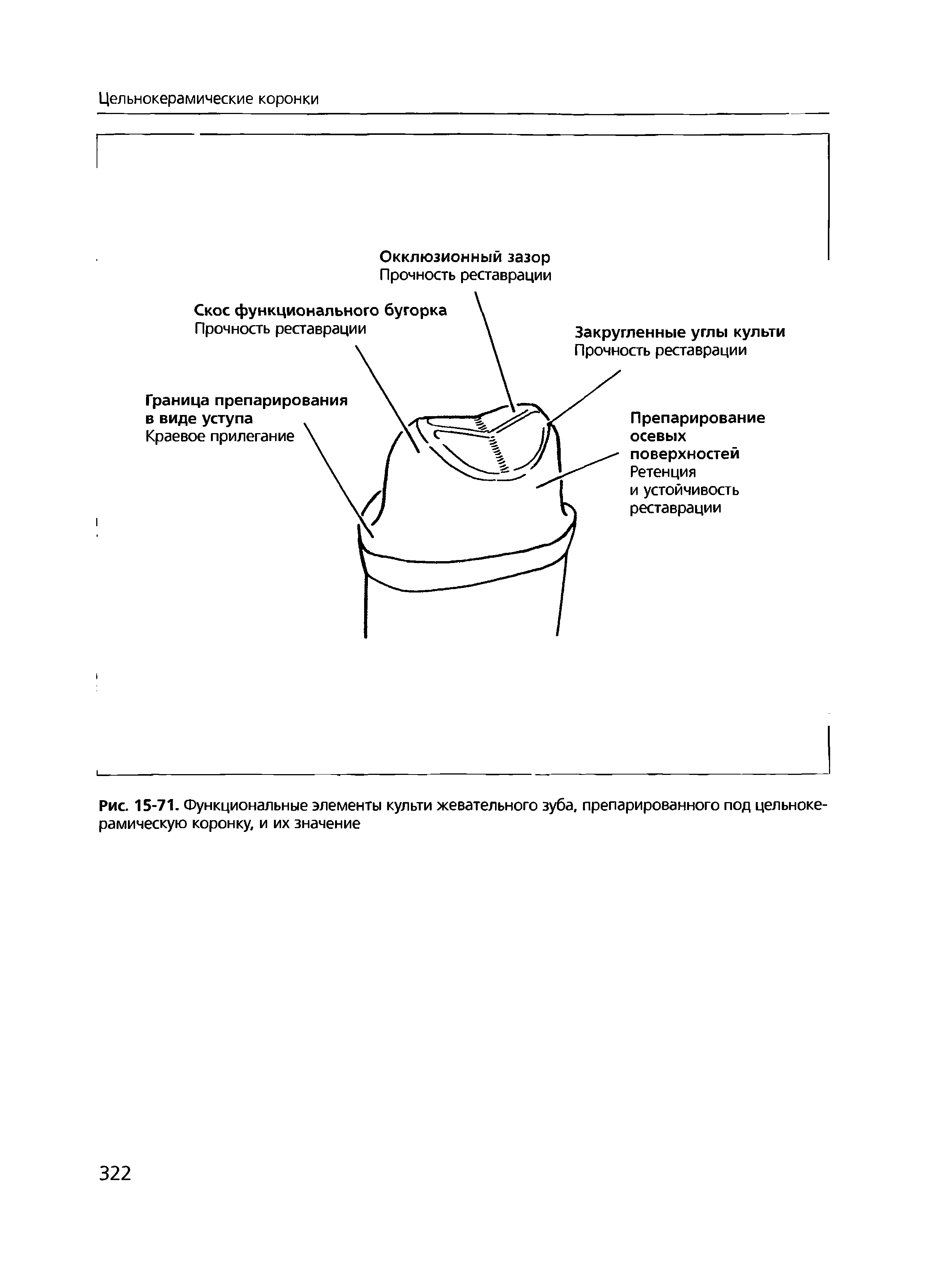 Рис. 15-71. Функциональные элементы культи жевательного зуба, препарированного под цельнокерамическую коронку, и их значение...