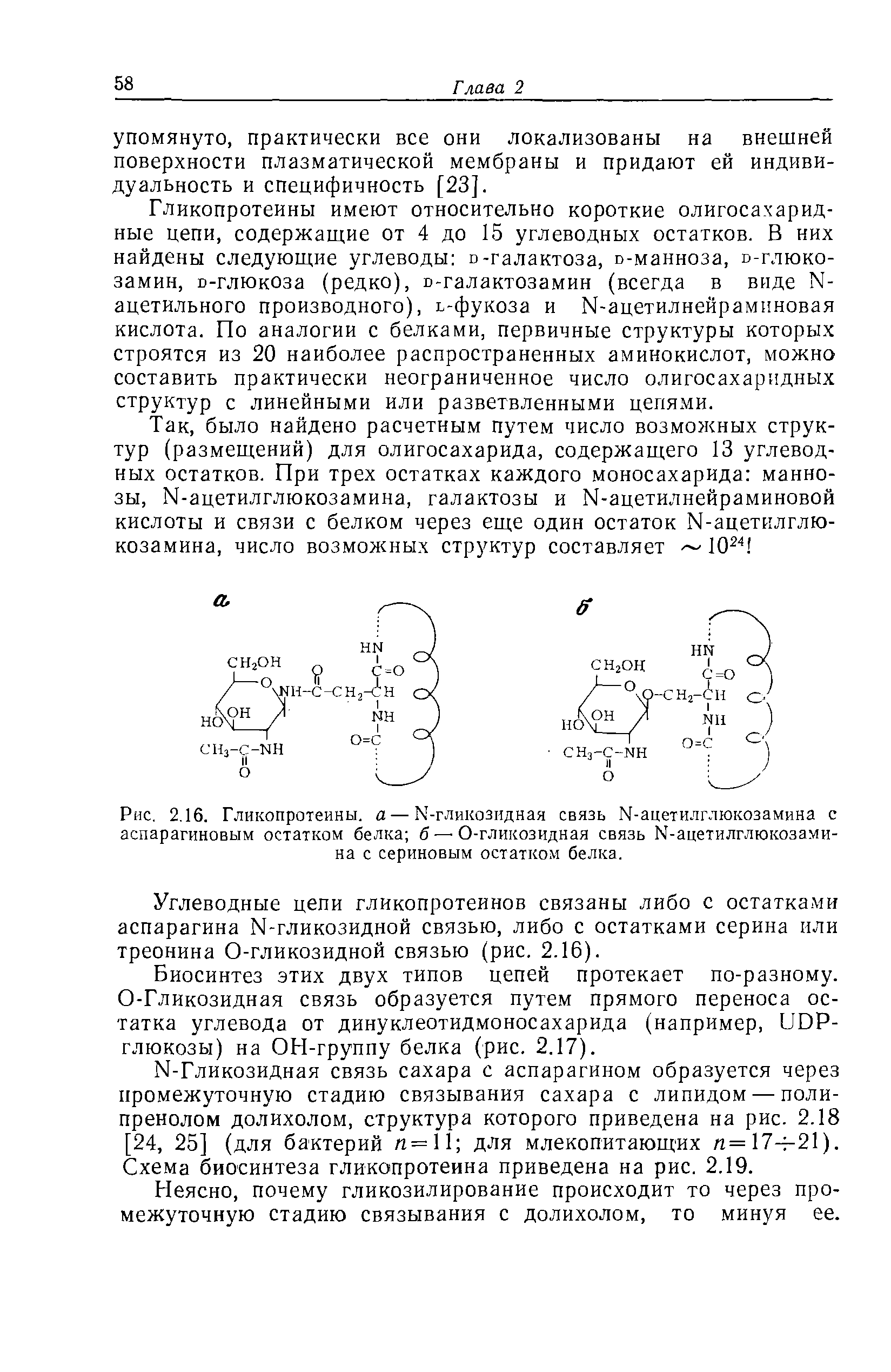Рис. 2.16. Гликопротеины, а — М-гликозидная связь И-ацетилглюкозамина с аспарагиновым остатком белка б— О-гликозидная связь М-ацетилглюкозами-на с сериновым остатком белка.