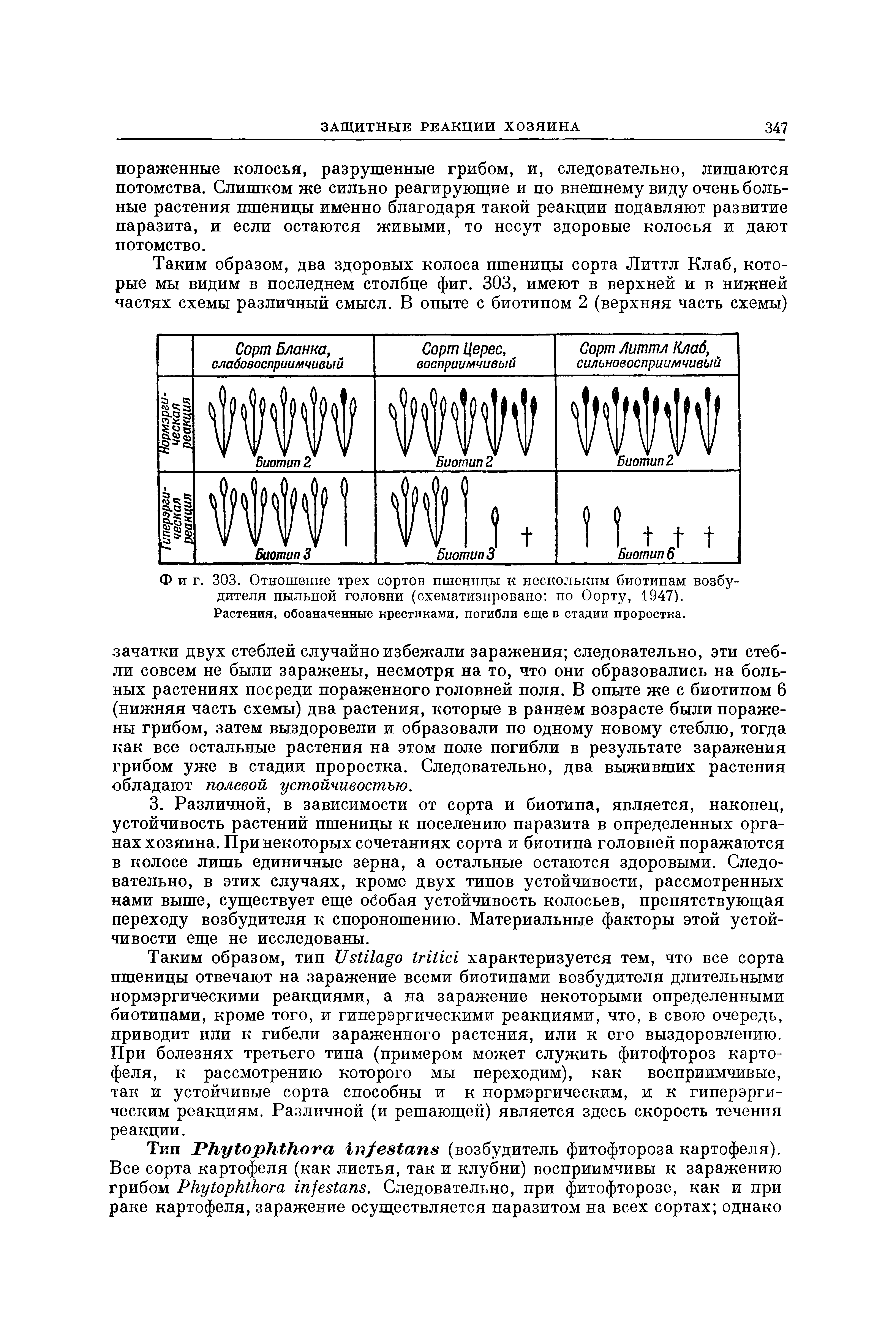 Фиг. 303. Отношение трех сортов пшеницы к нескольким биотипам возбудителя пыльной головни (схематизировано по Оорту, 1947). Растения, обозначенные крестиками, погибли еще в стадии проростка.