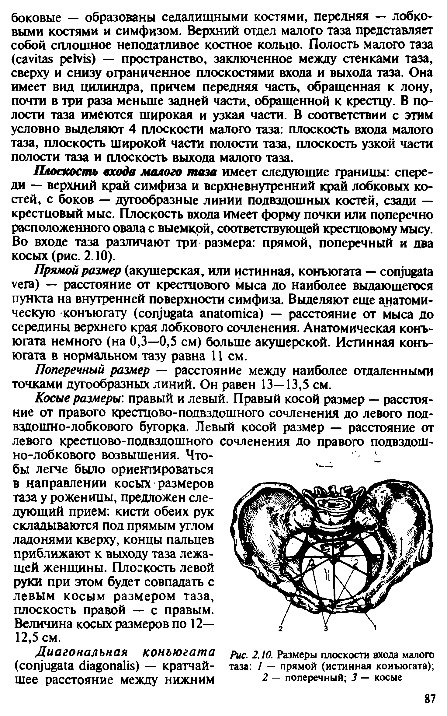 Рис. 2.10. Размеры плоскости входа малого таза 1 — прямой (истинная конъюгата) 2 — поперечный 3 — косые...