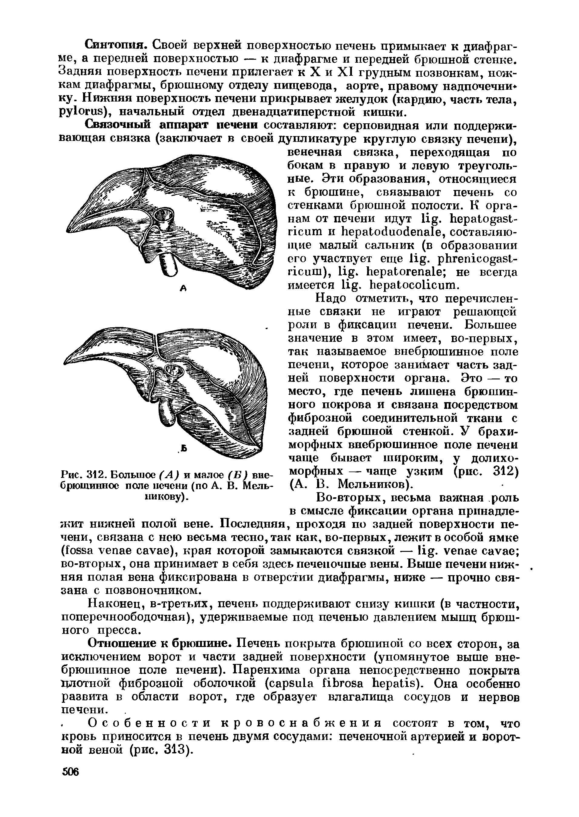 Рис. 312. Большое (А) и малое (Б) внебрюшинное поле печени (по А. В. Мельникову).