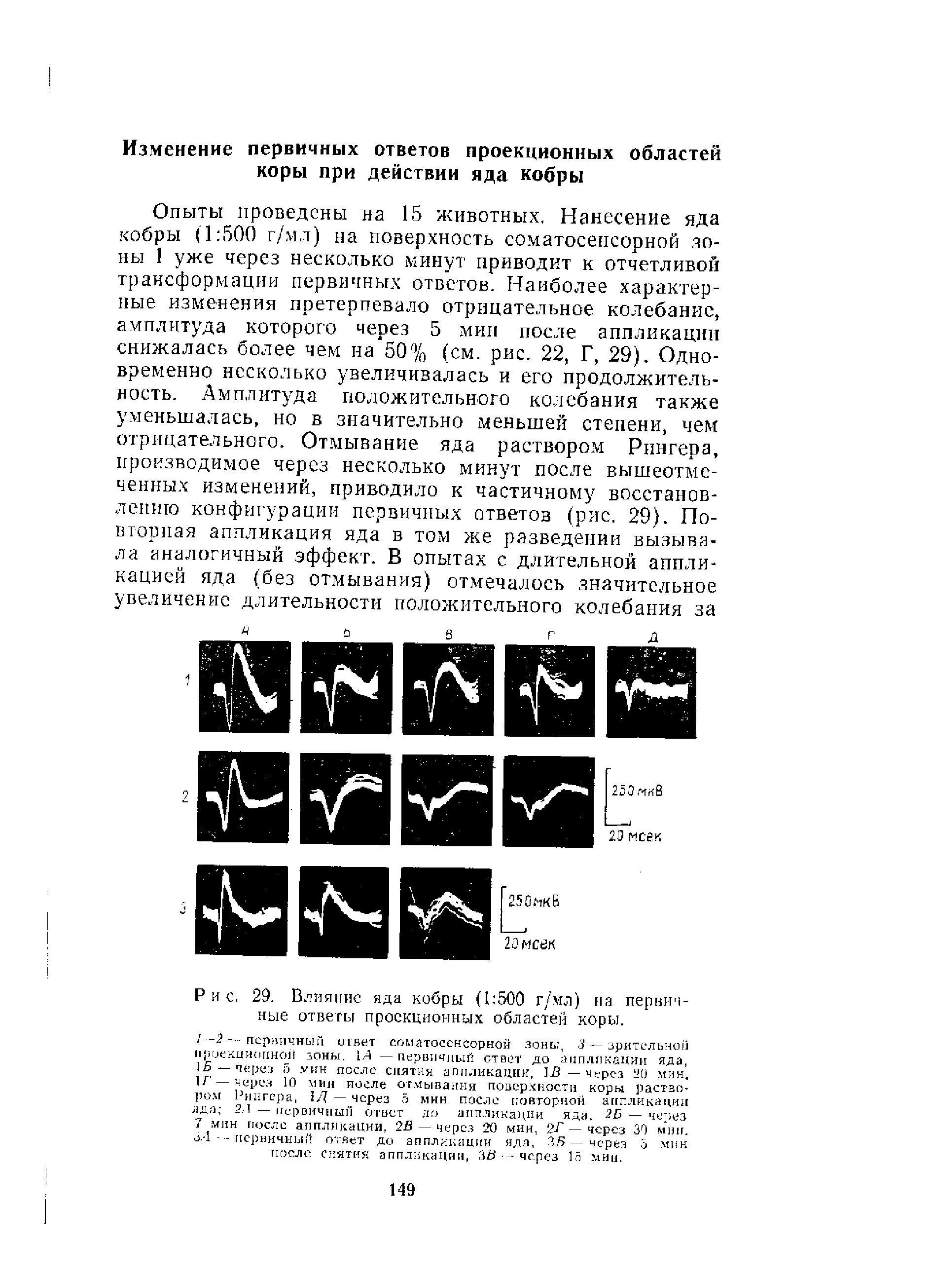 Рис. 29. Влияние яда кобры (1 500 г/мл) на первичные ответы проекционных областей коры.