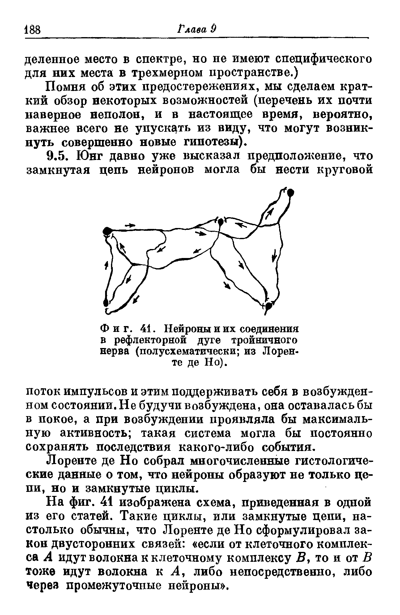 Фиг. 41. Нейроны и их соединения в рефлекторной дуге тройничного нерва (полусхематически из Лорен-те де Но).