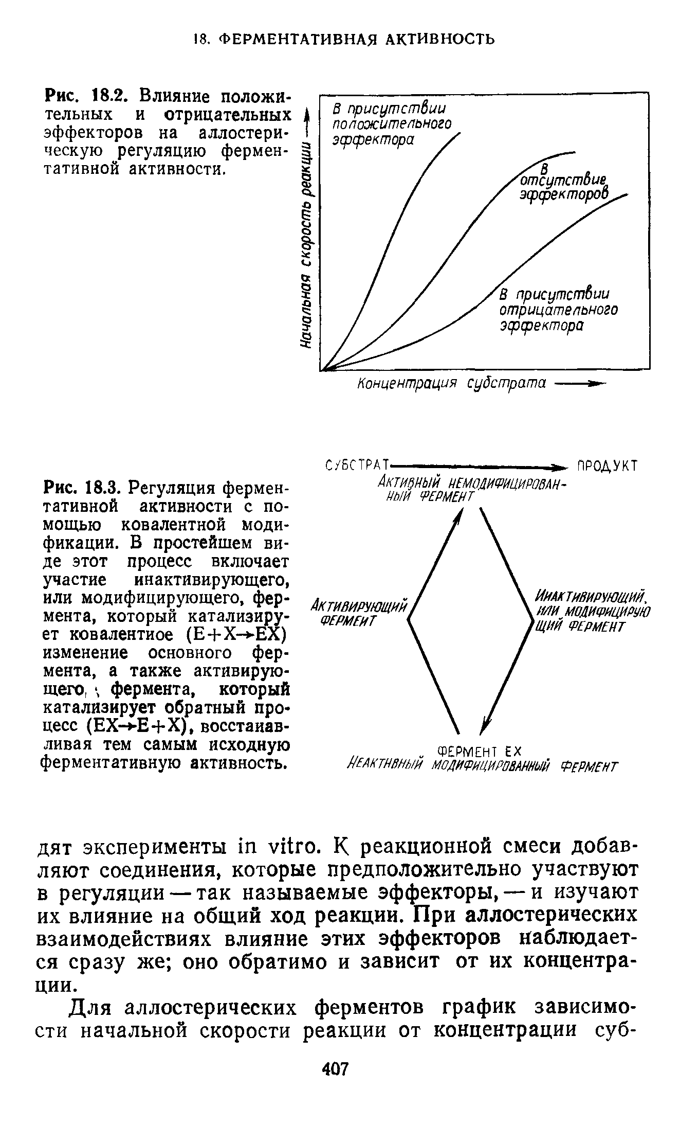 Рис. 18.2. Влияние положительных и отрицательных эффекторов на аллостерическую регуляцию ферментативной активности.