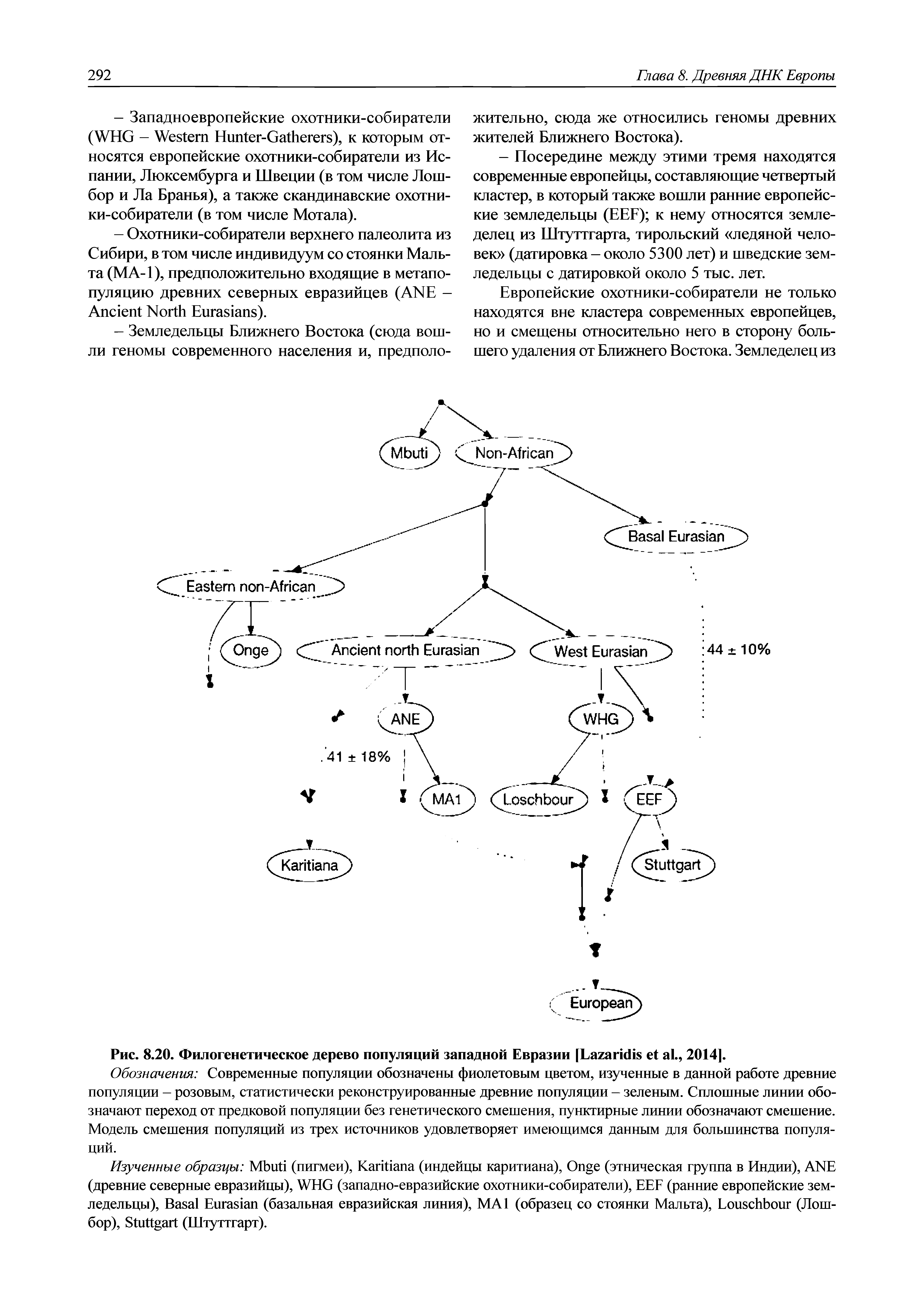 Рис. 8.20. Филогенетическое дерево популяций западной Евразии [L ., 2014].