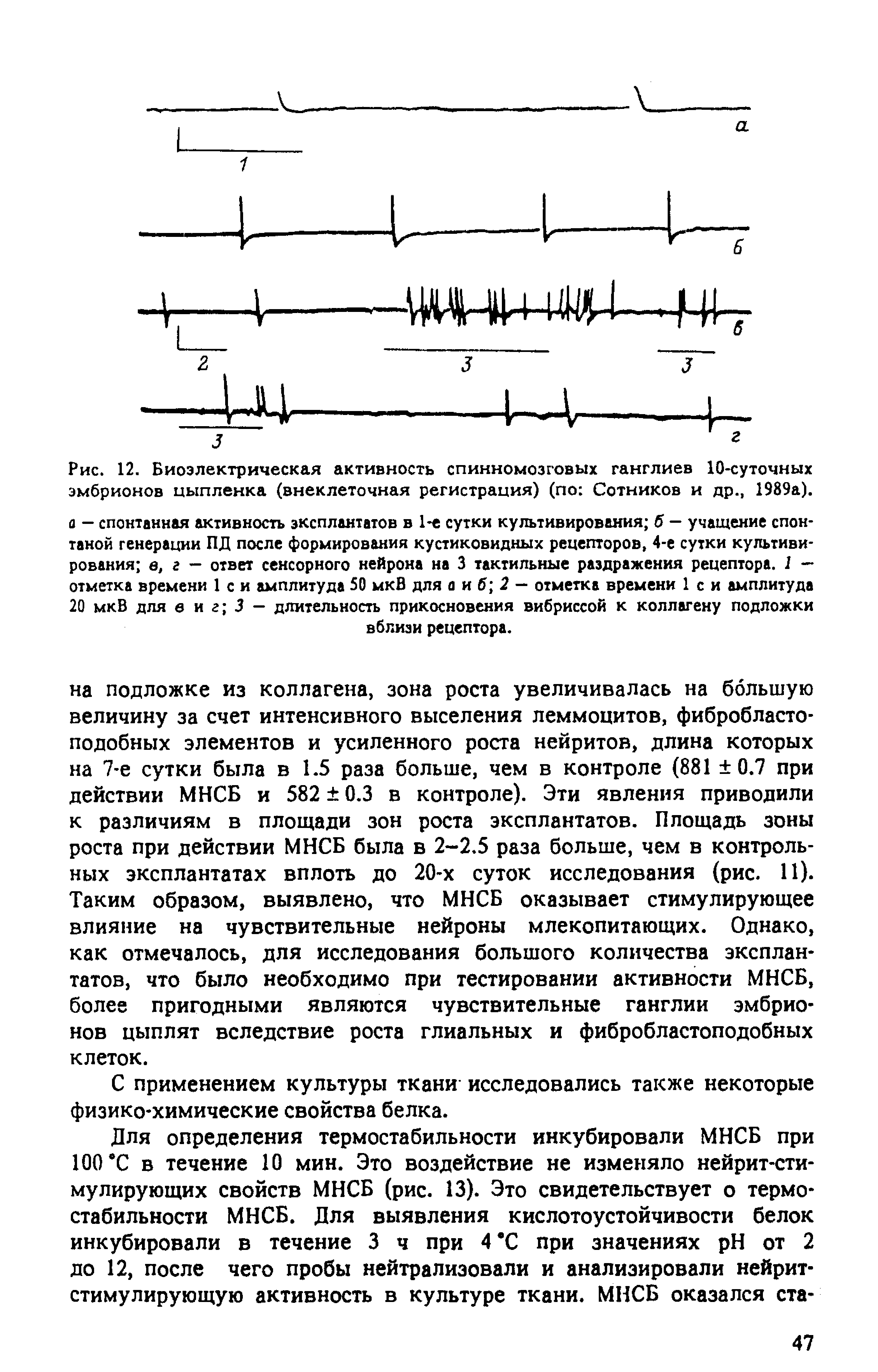 Рис. 12. Биоэлектрическая активность спинномозговых ганглиев 10-суточных эмбрионов цыпленка (внеклеточная регистрация) (по Сотников и др., 1989а).