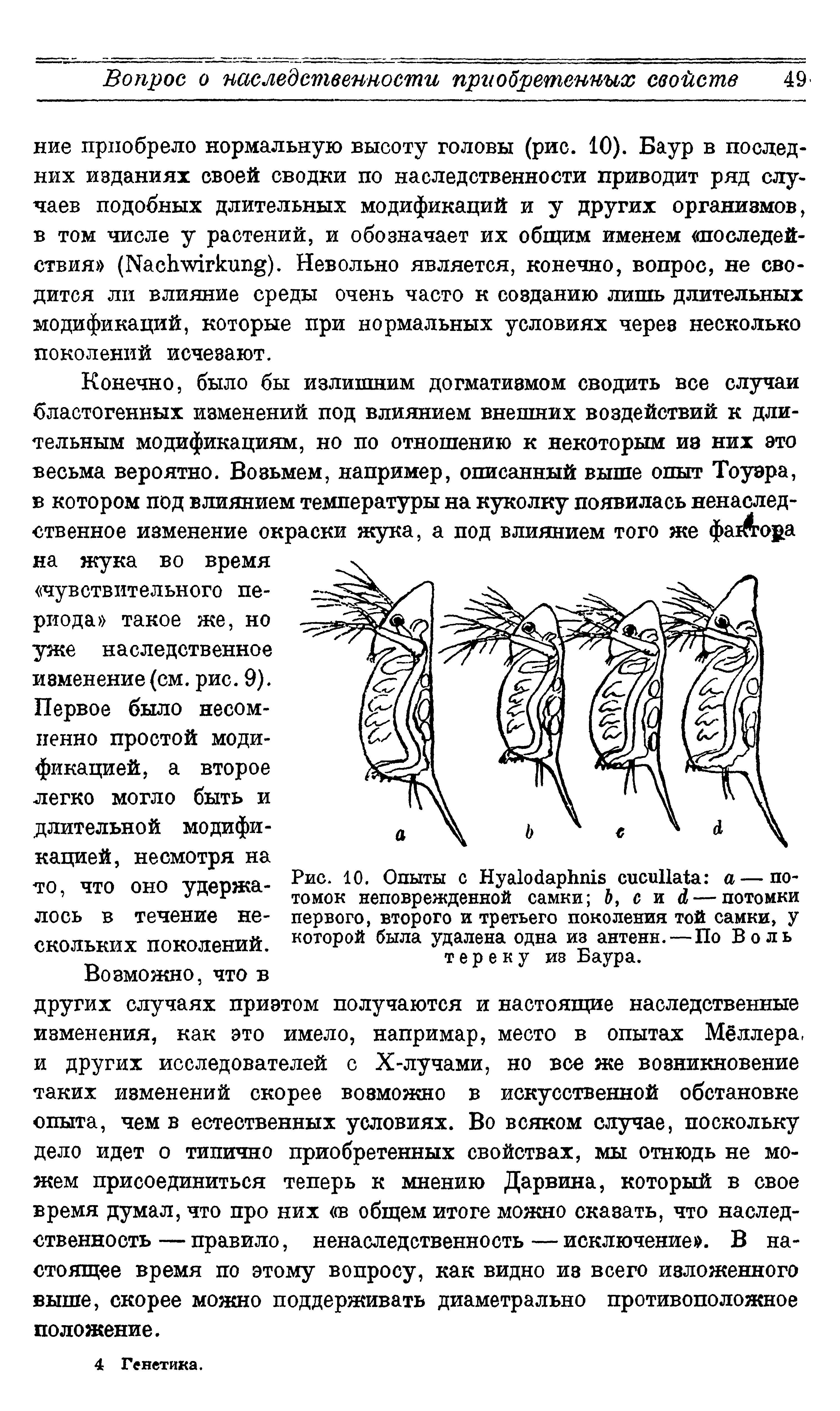 Рис. 10. Опыты с Нуа1о4арЬп1в сисиШЦа а — потомок неповрежденной самки с и Л — потомки первого, второго и третьего поколения той самки, у которой была удалена одна из антенн. — По Воль Тереку ив Баура.