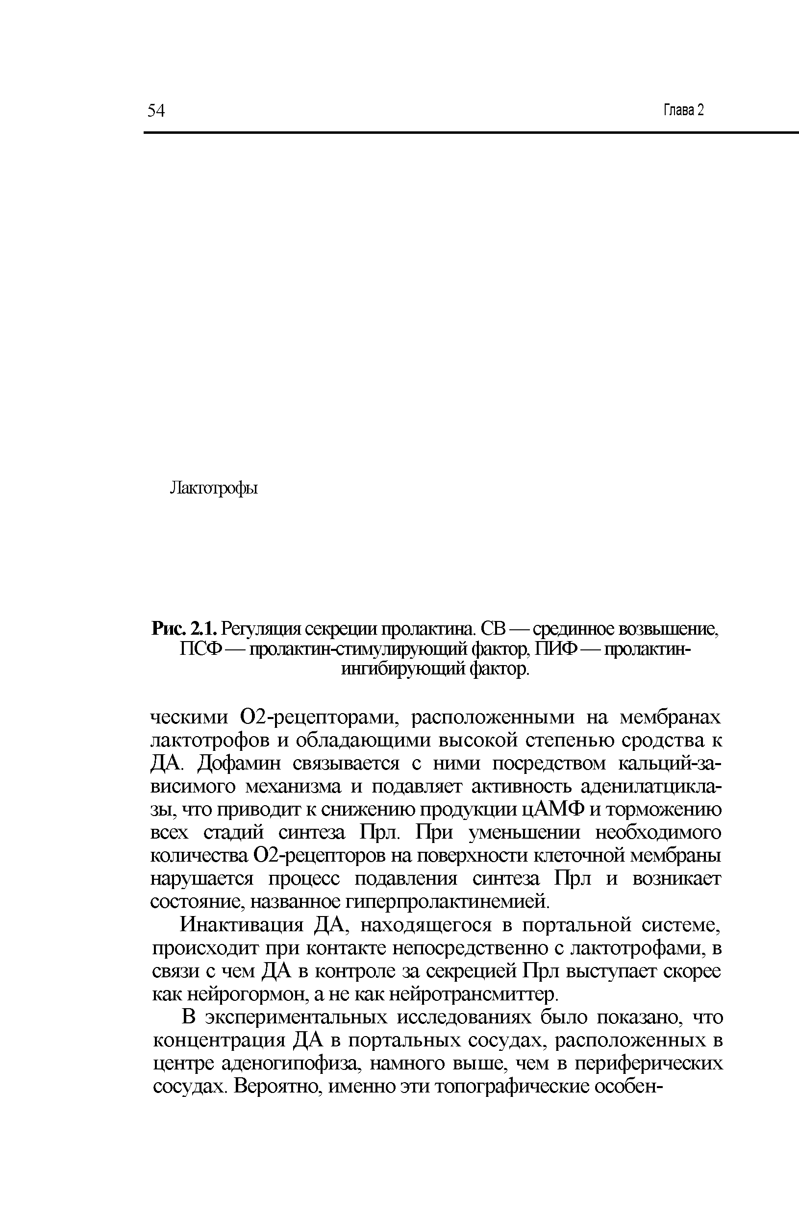 Рис. 2.1. Регуляция секреции пролактина. СВ — срединное возвышение, ПСФ — пролакгин-сгимулирующий фактор, ПИФ—пролактин-ингибирующий фактор.