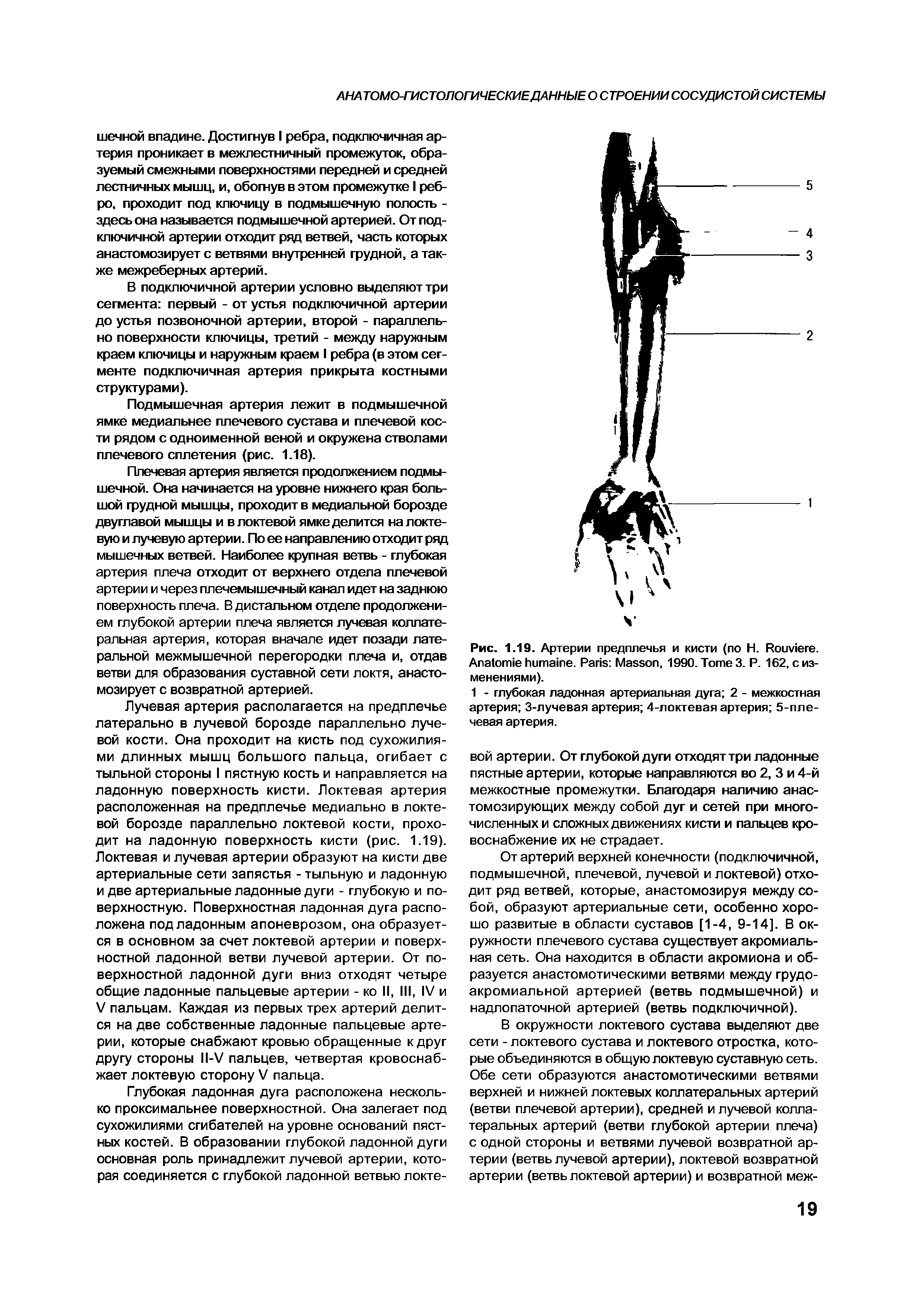 Рис. 1.19. Артерии предплечья и кисти (по H. R . A . P M , 1990. T 3. P. 162, с изменениями).