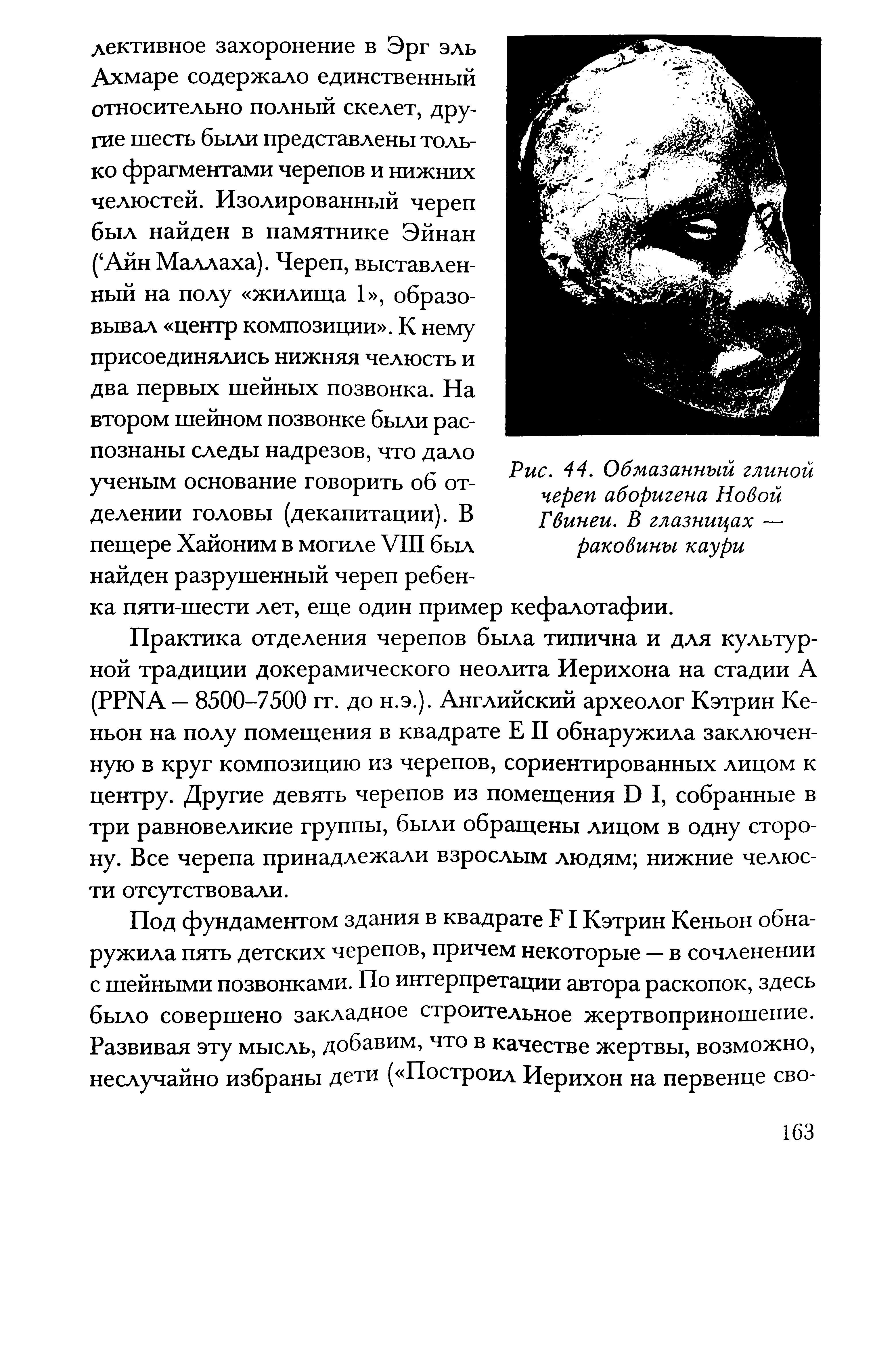 Рис. 44. Обмазанный глиной череп аборигена Новой Гвинеи. В глазницах — раковины каури...