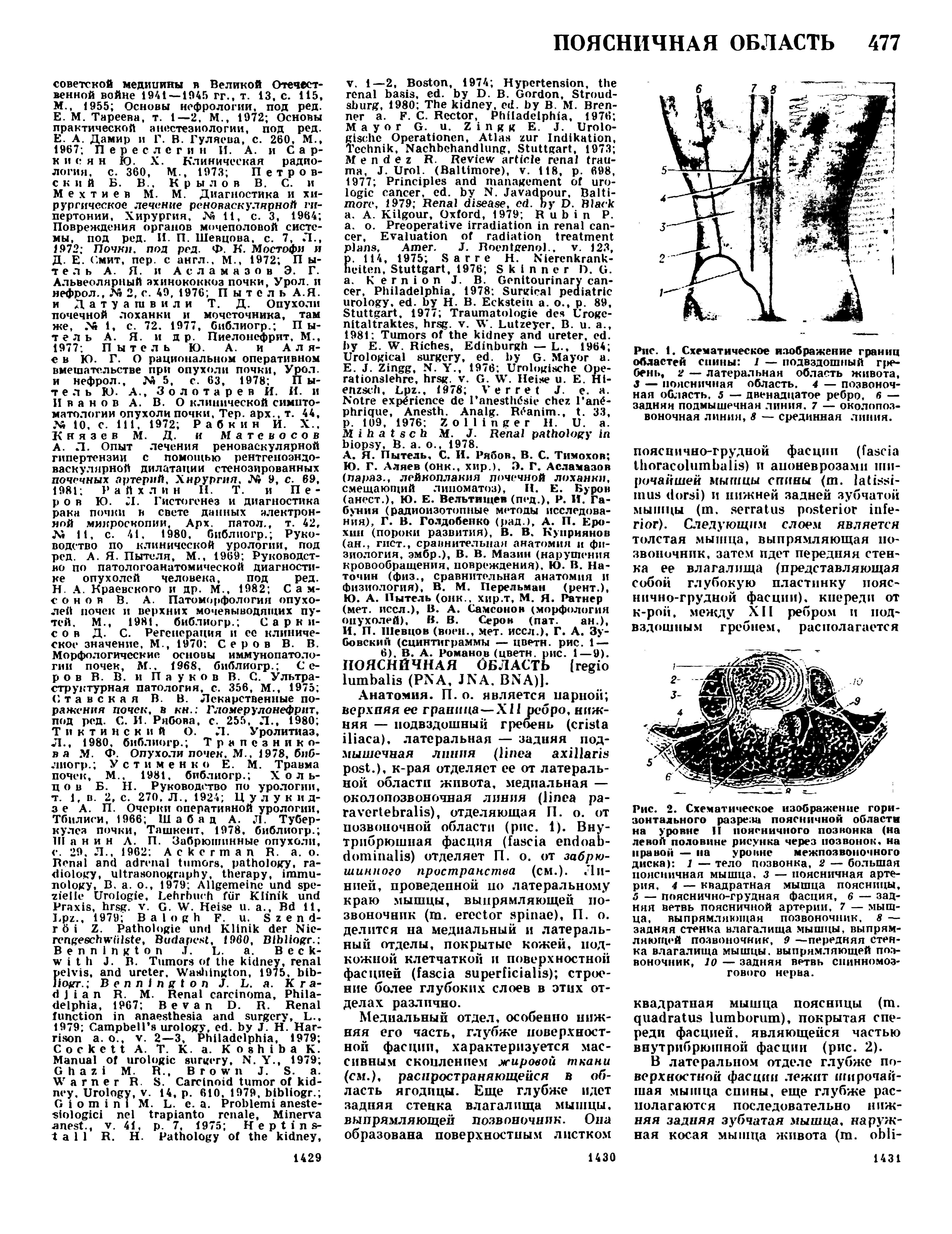 Рис. 1. Схематическое изображение границ областей спины 1 — подвздошный гребень, 2 — латеральная область живота, 3 — поясничная область. 4 — позвоночная область, 5 — двенадцатое ребро, 6 — задняя подмышечная линия. 7 — околопоз-воночная линия, 8 — срединная линия.